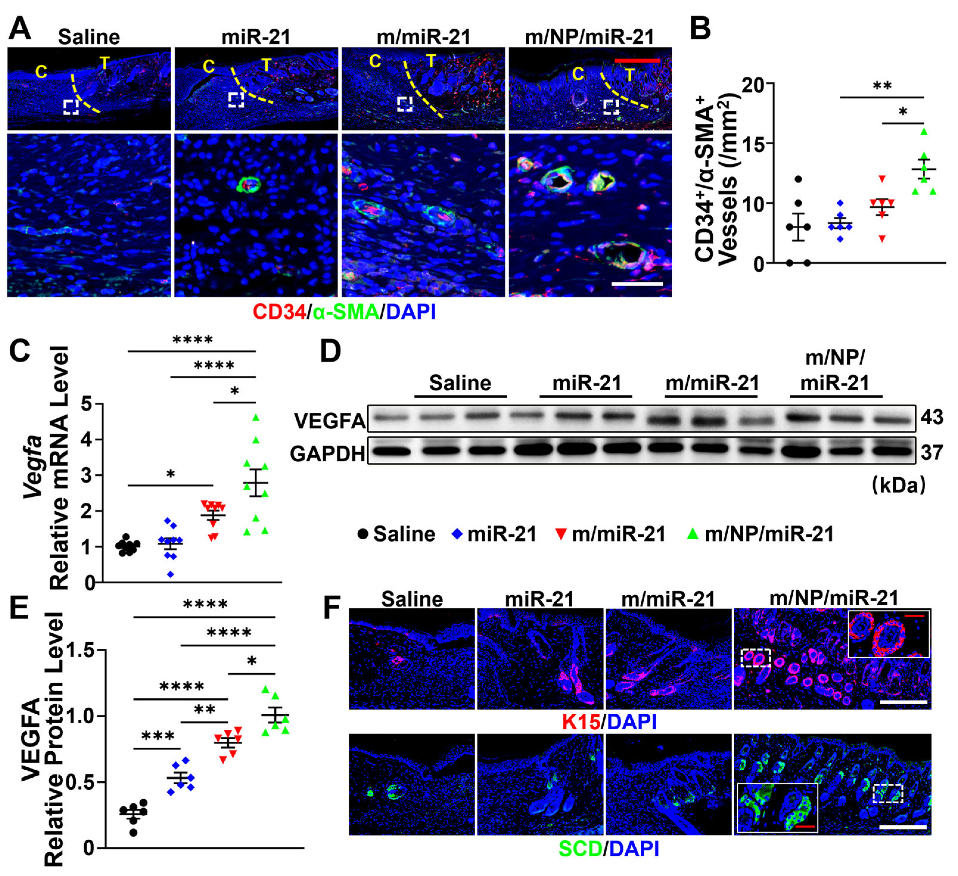 Pharmaceutics 16 01113 g005a
