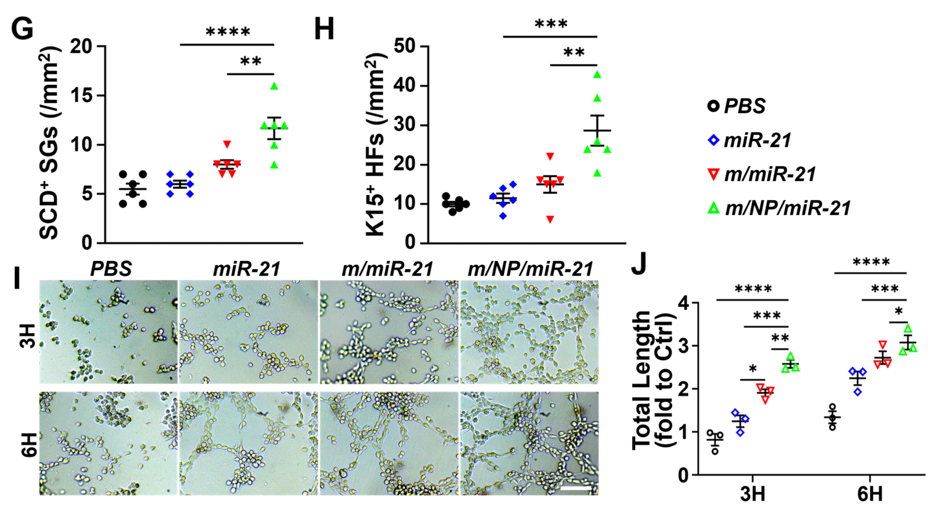 Pharmaceutics 16 01113 g005b