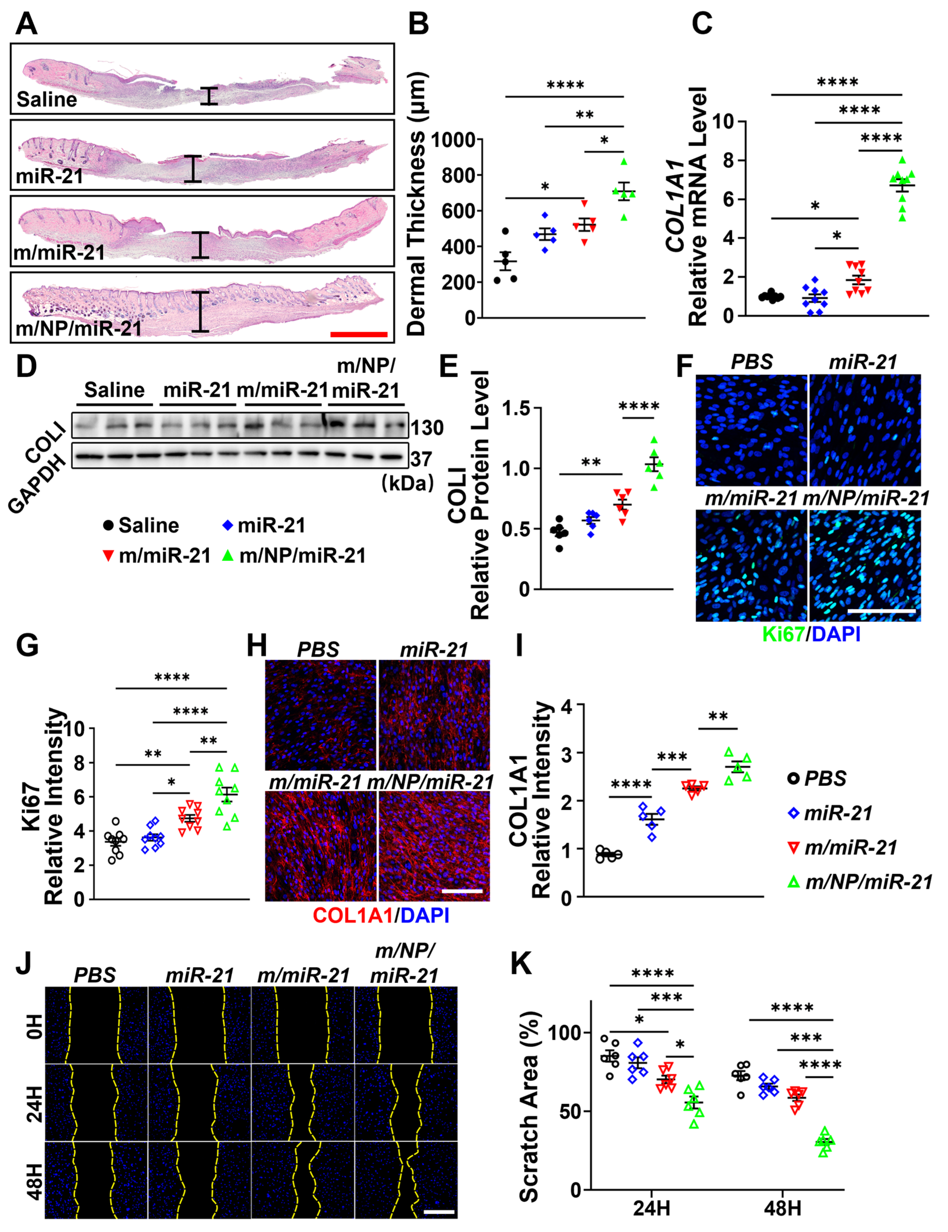 Pharmaceutics 16 01113 g006