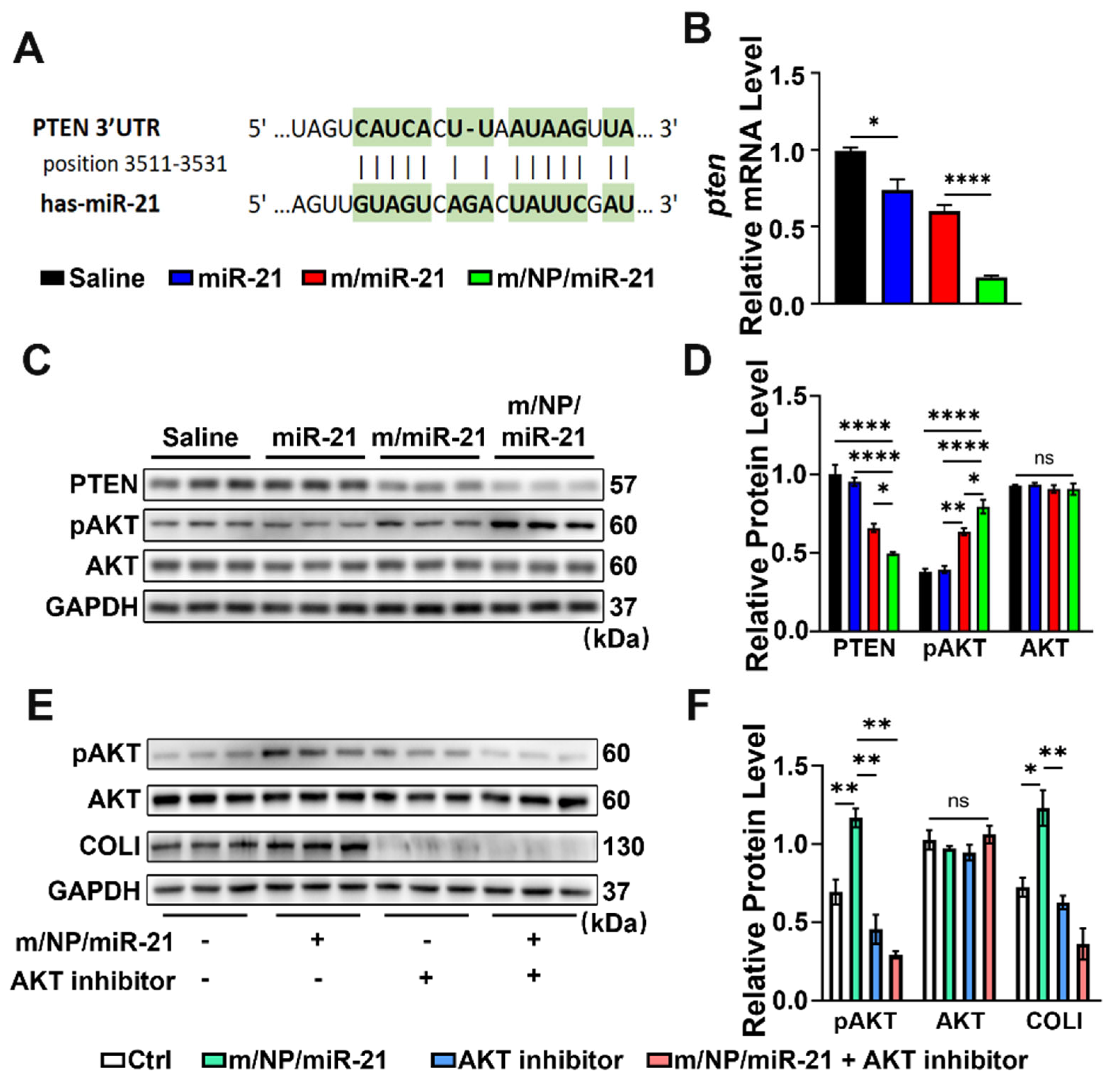 Pharmaceutics 16 01113 g007