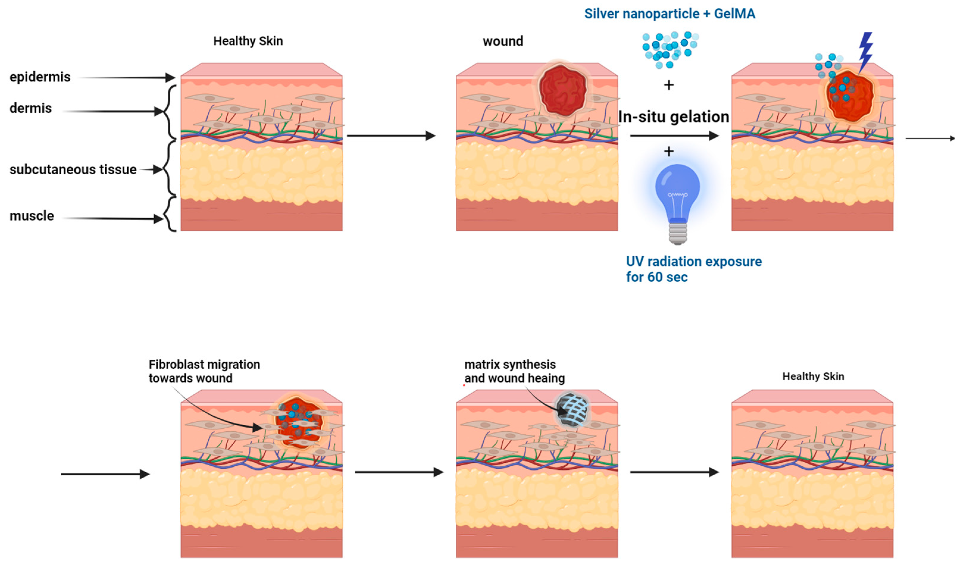 Pharmaceutics 16 01114 g006