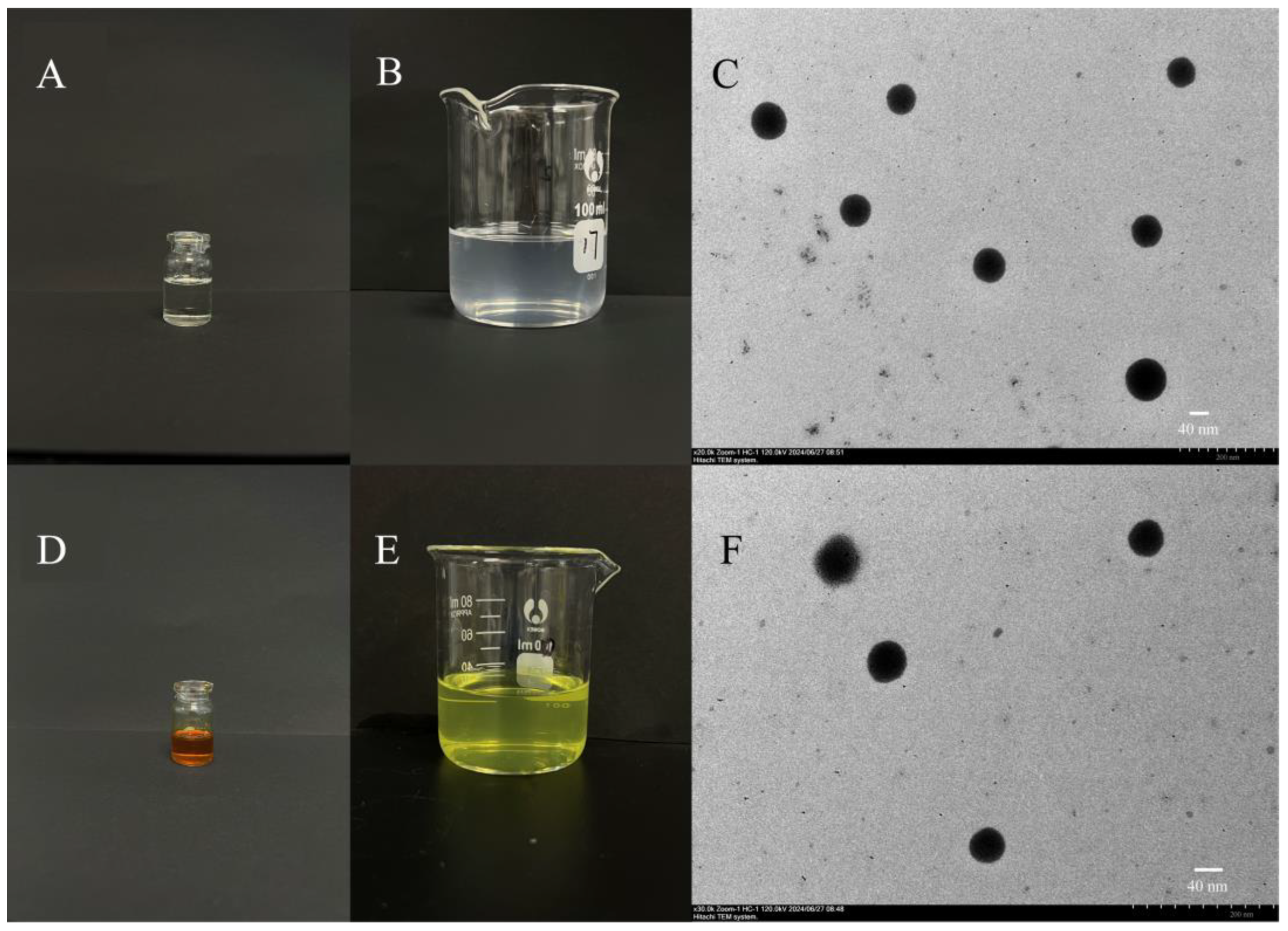 Pharmaceutics 16 01116 g005