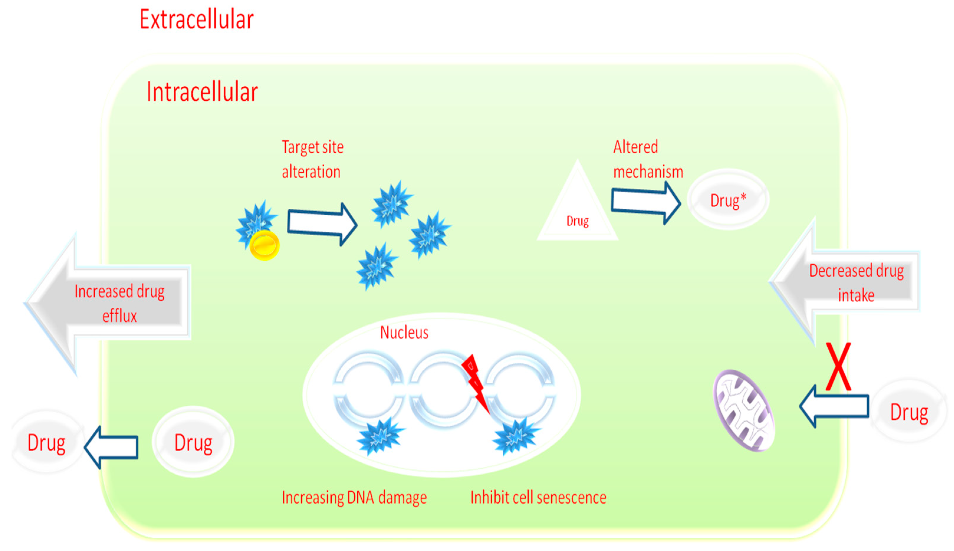 Pharmaceutics 16 01120 g001