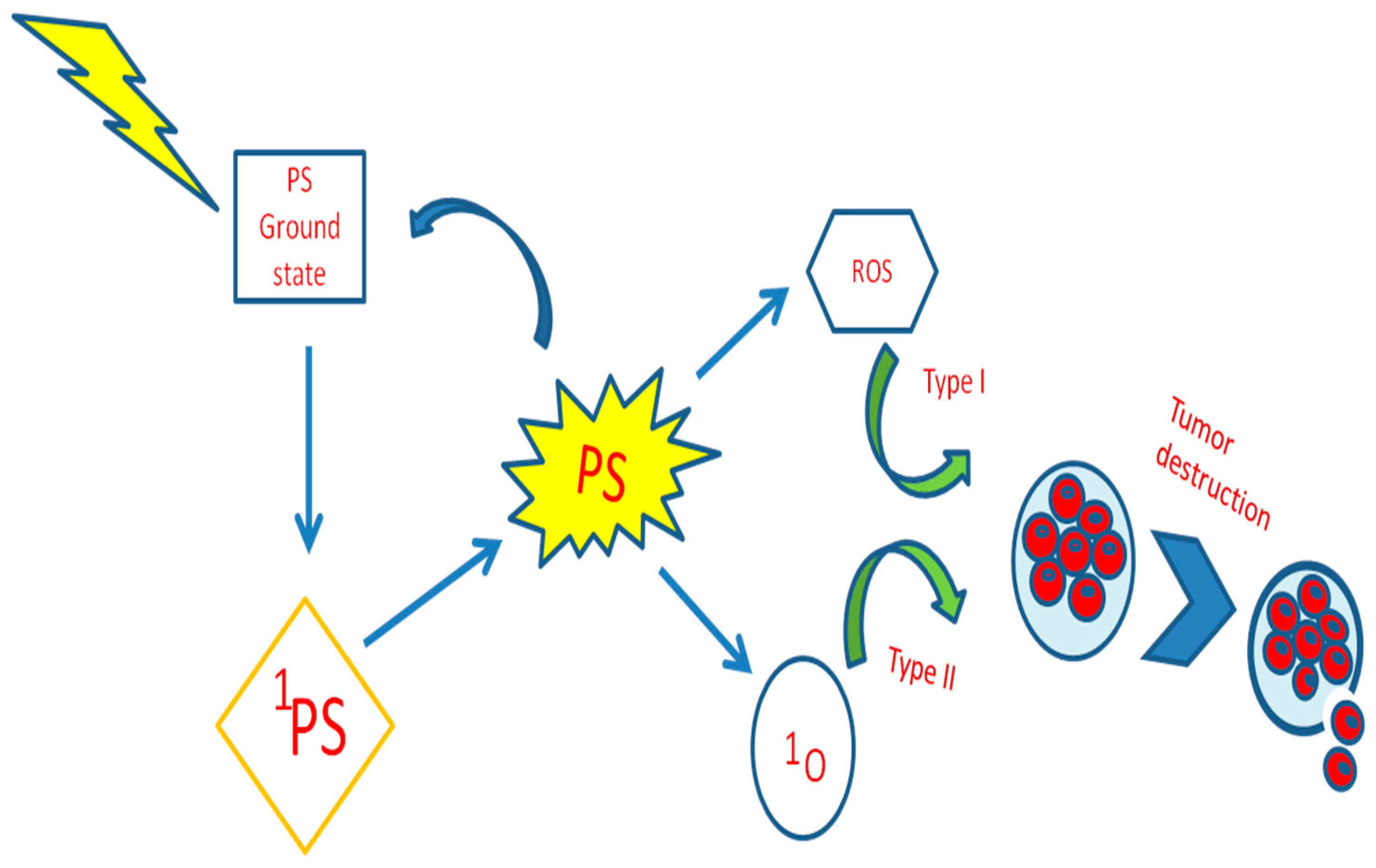 Pharmaceutics 16 01120 g002