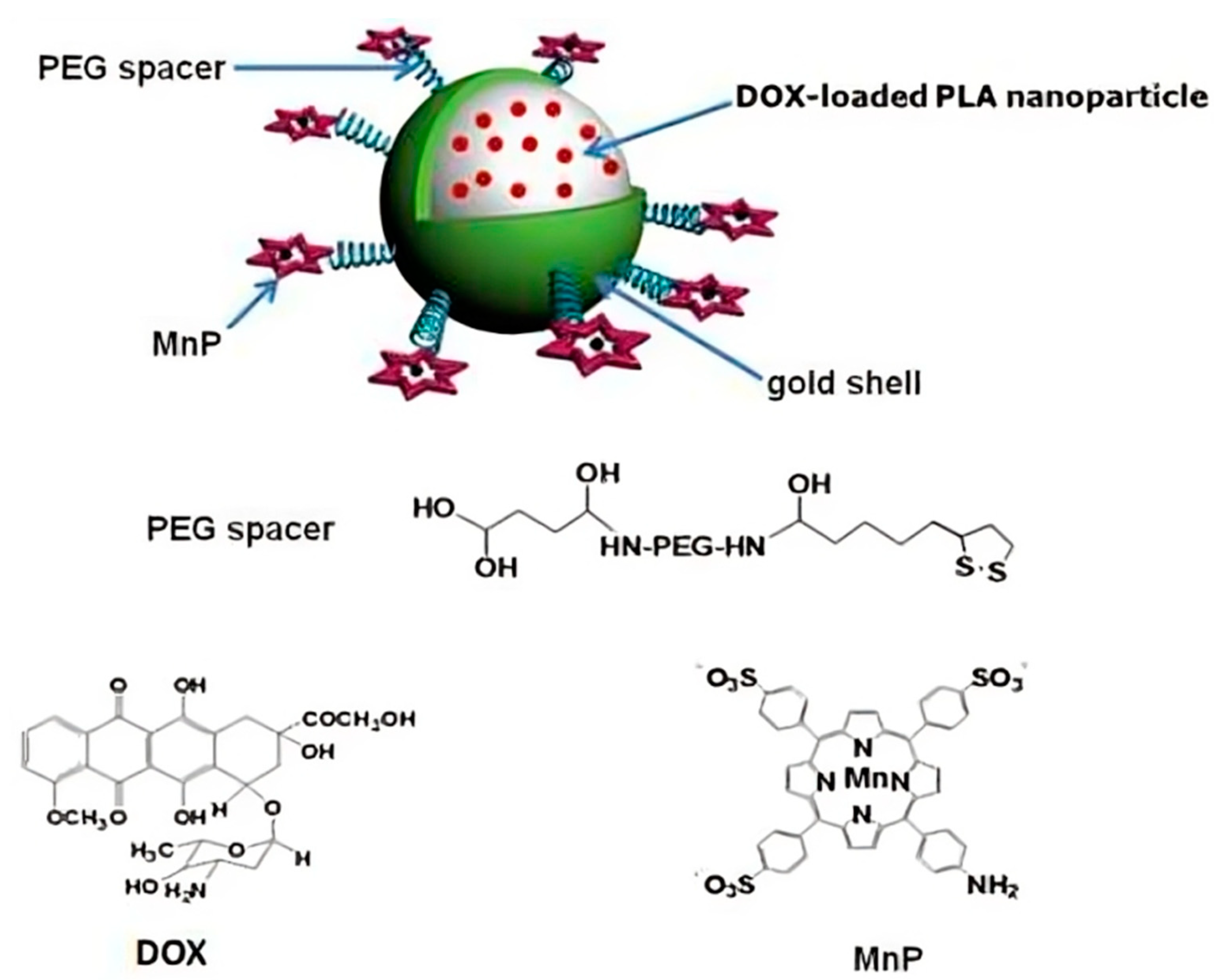 Pharmaceutics 16 01120 g004
