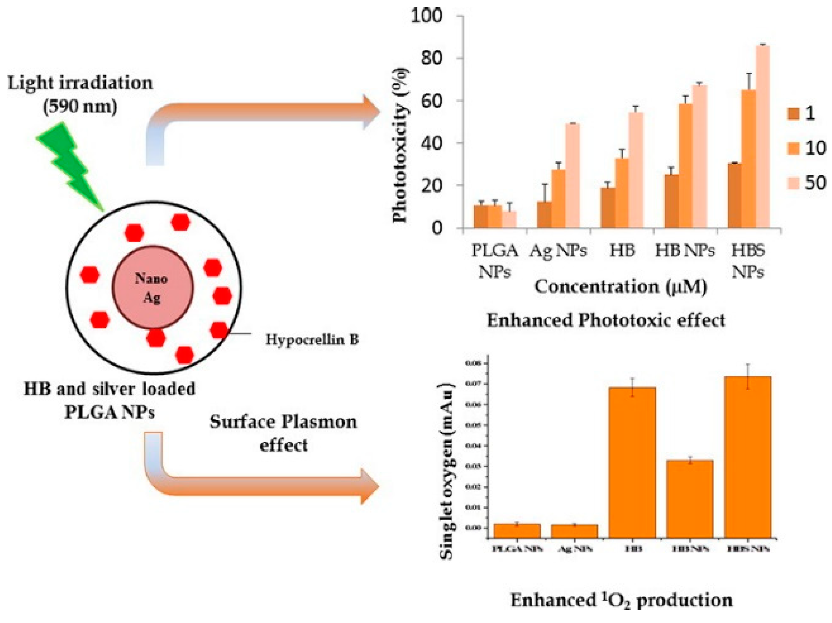 Pharmaceutics 16 01120 g006