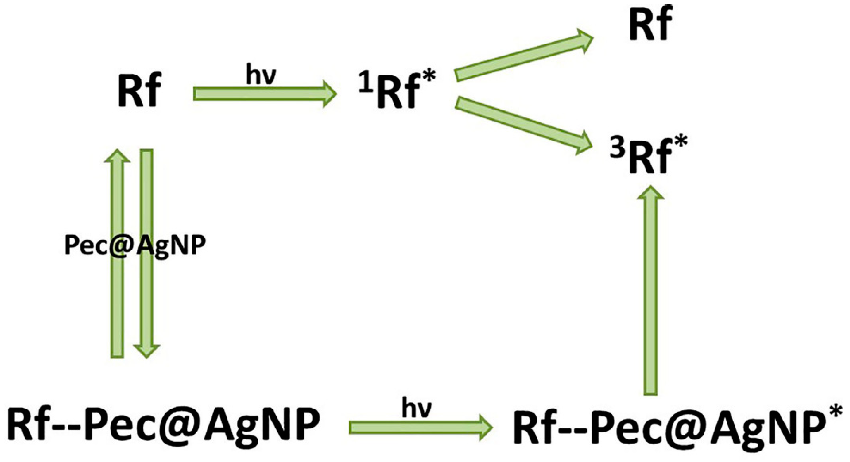 Pharmaceutics 16 01120 g007