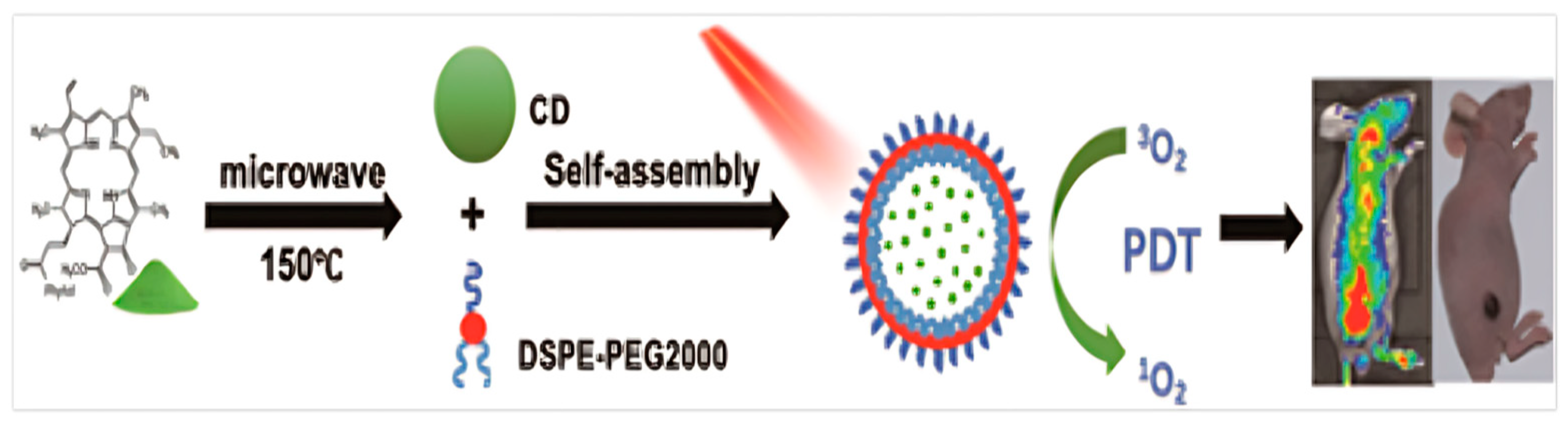 Pharmaceutics 16 01120 g010