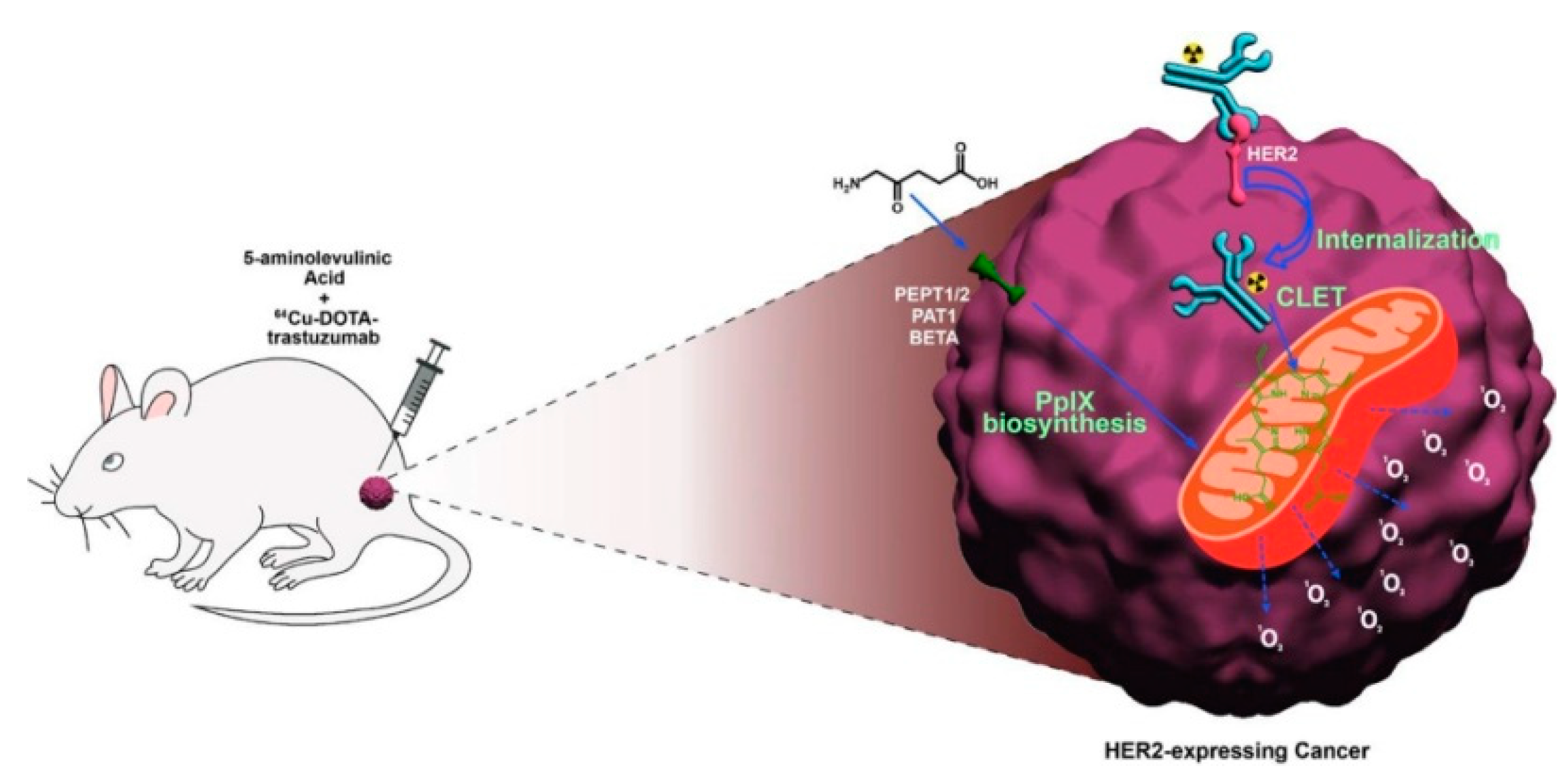Pharmaceutics 16 01120 g012