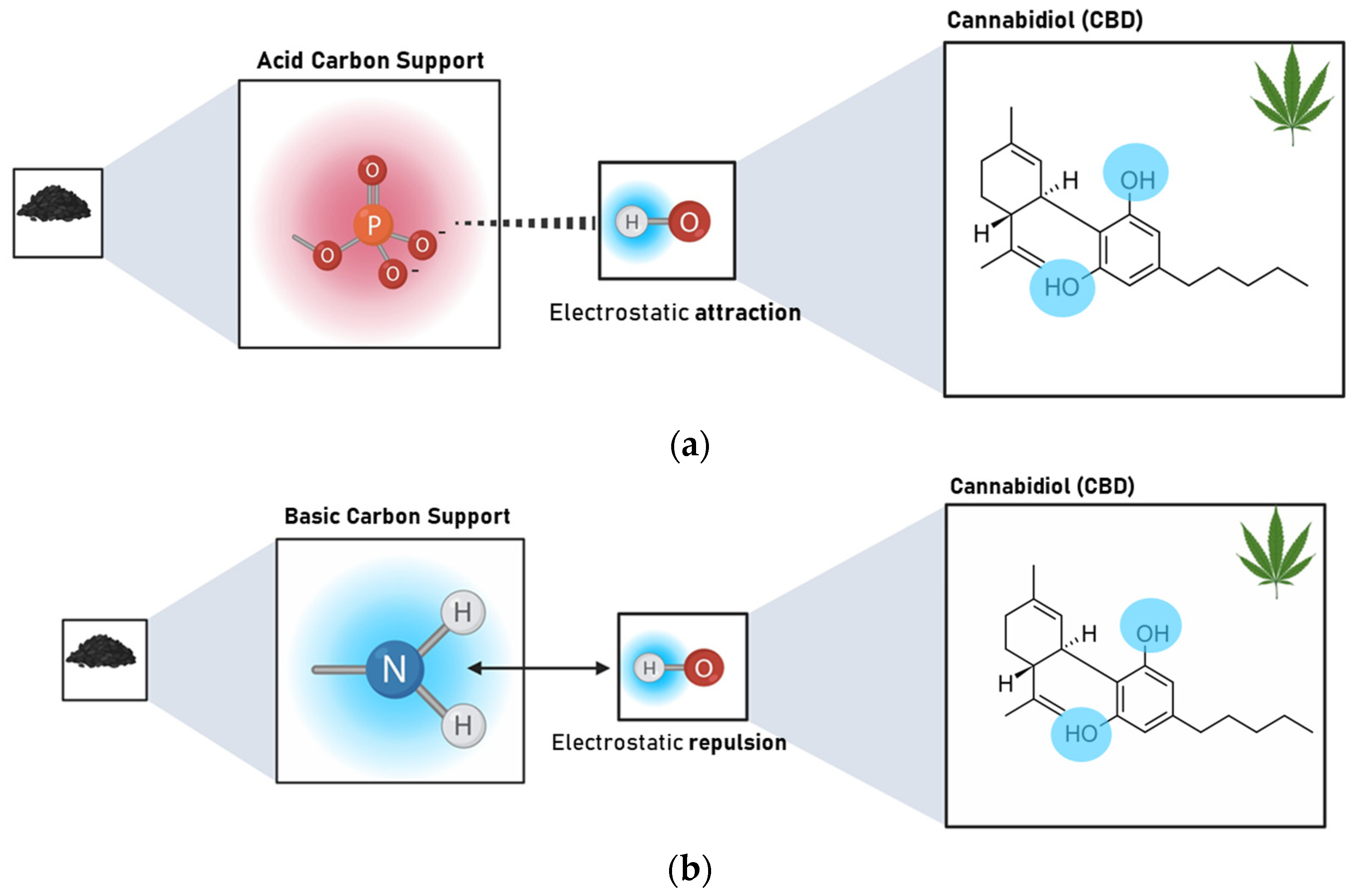 Pharmaceutics 16 01132 g006