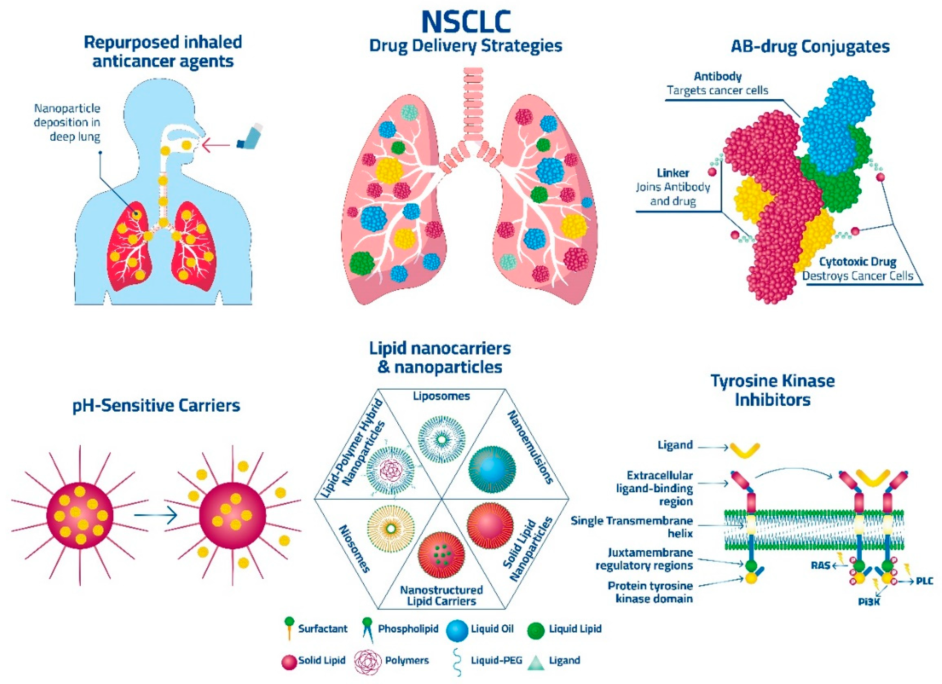 Pharmaceutics 16 01136 g001
