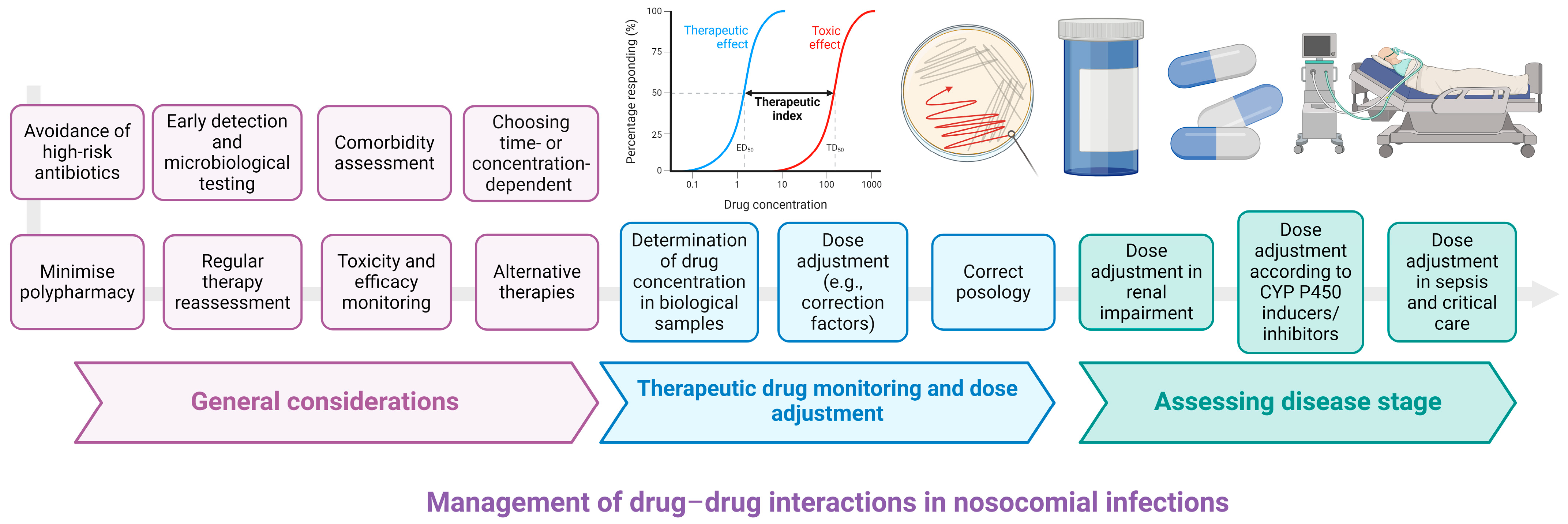 Pharmaceutics 16 01137 g004