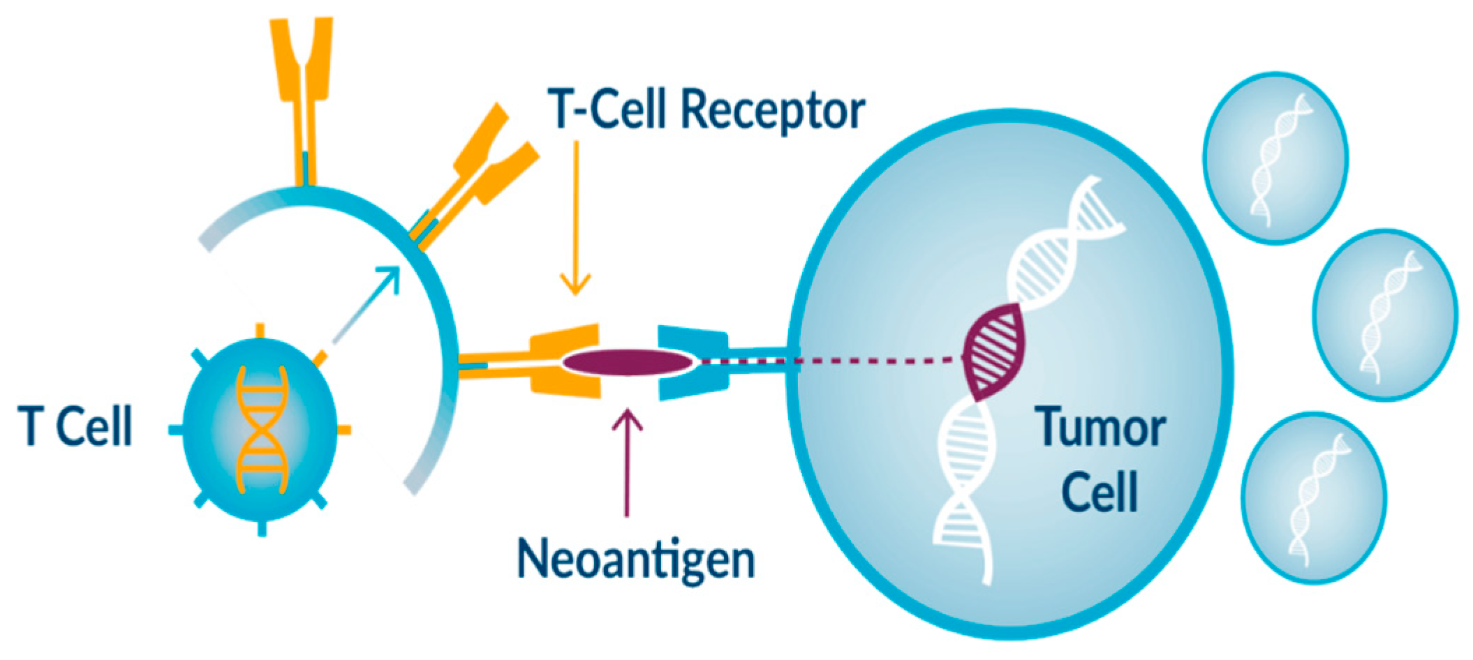 Pharmaceutics 16 01146 g001