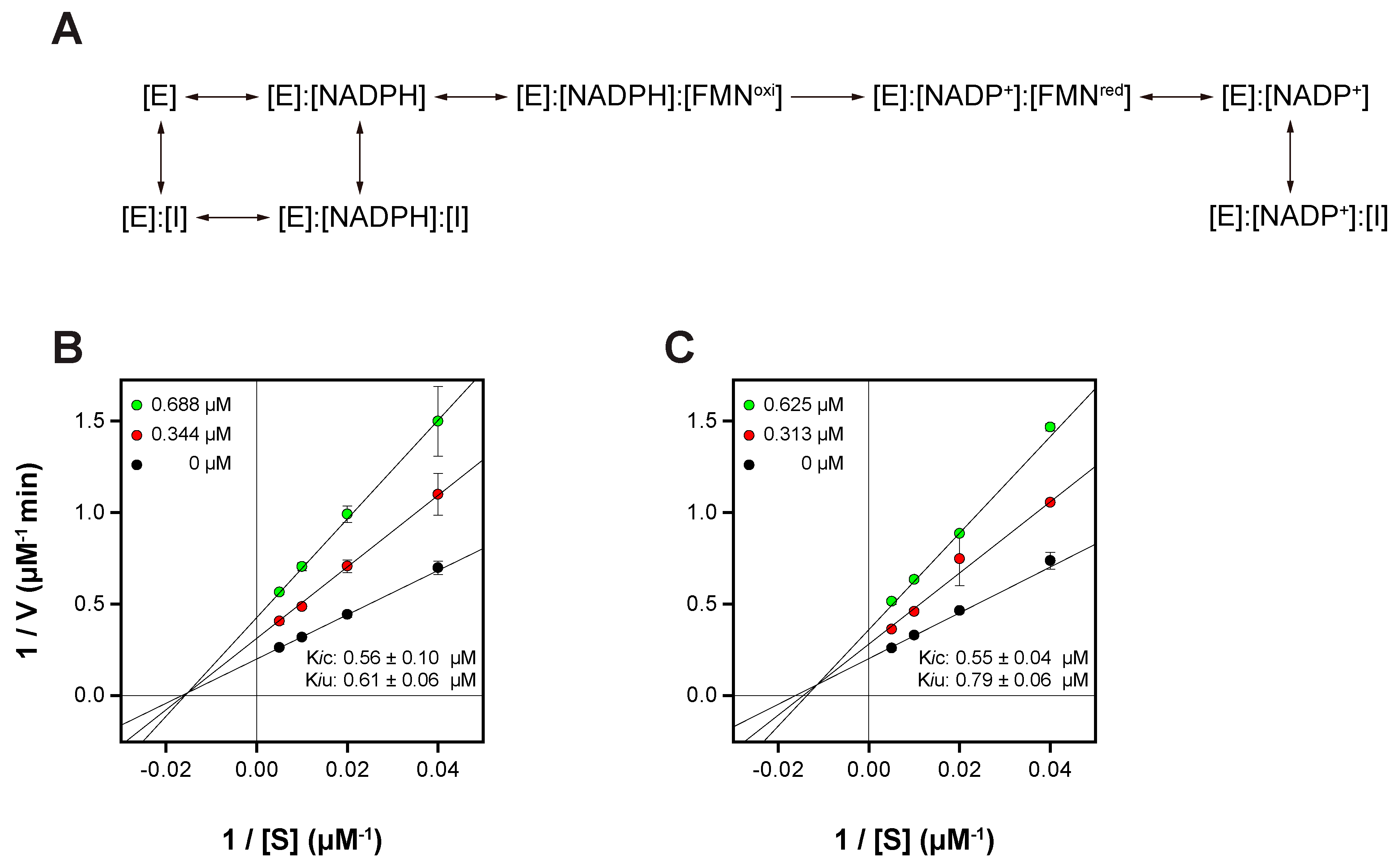 Pharmaceutics 16 01148 g006 Pharmaceutics 16 01148 g006