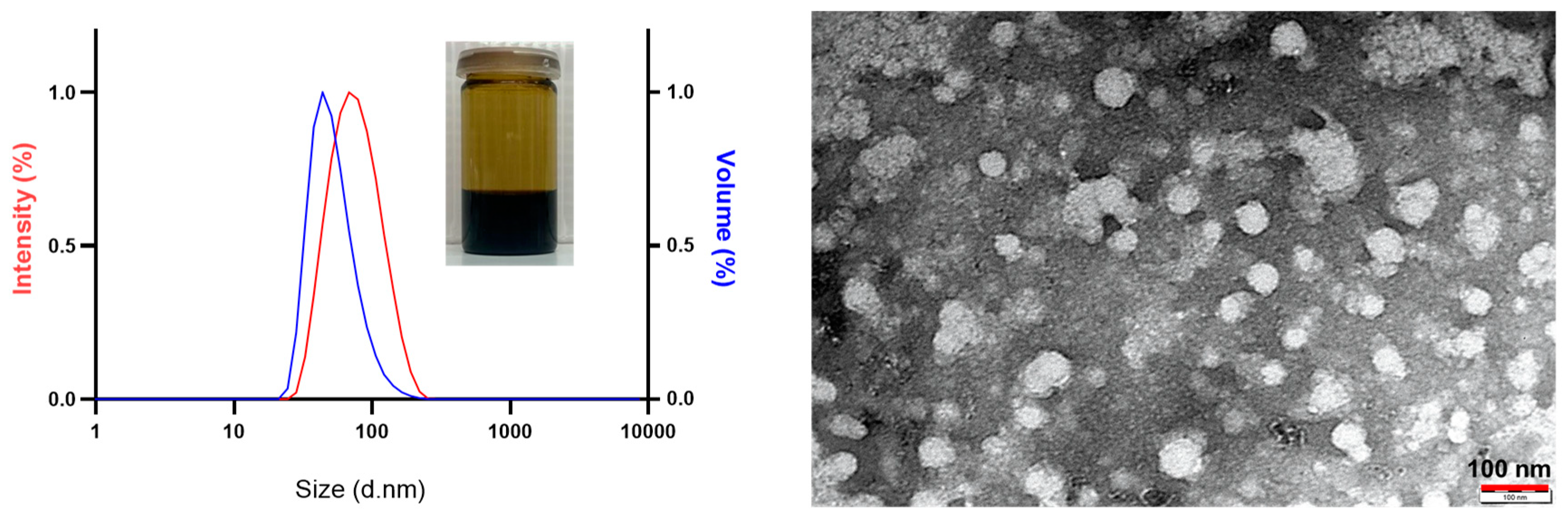 Pharmaceutics 16 01164 g001