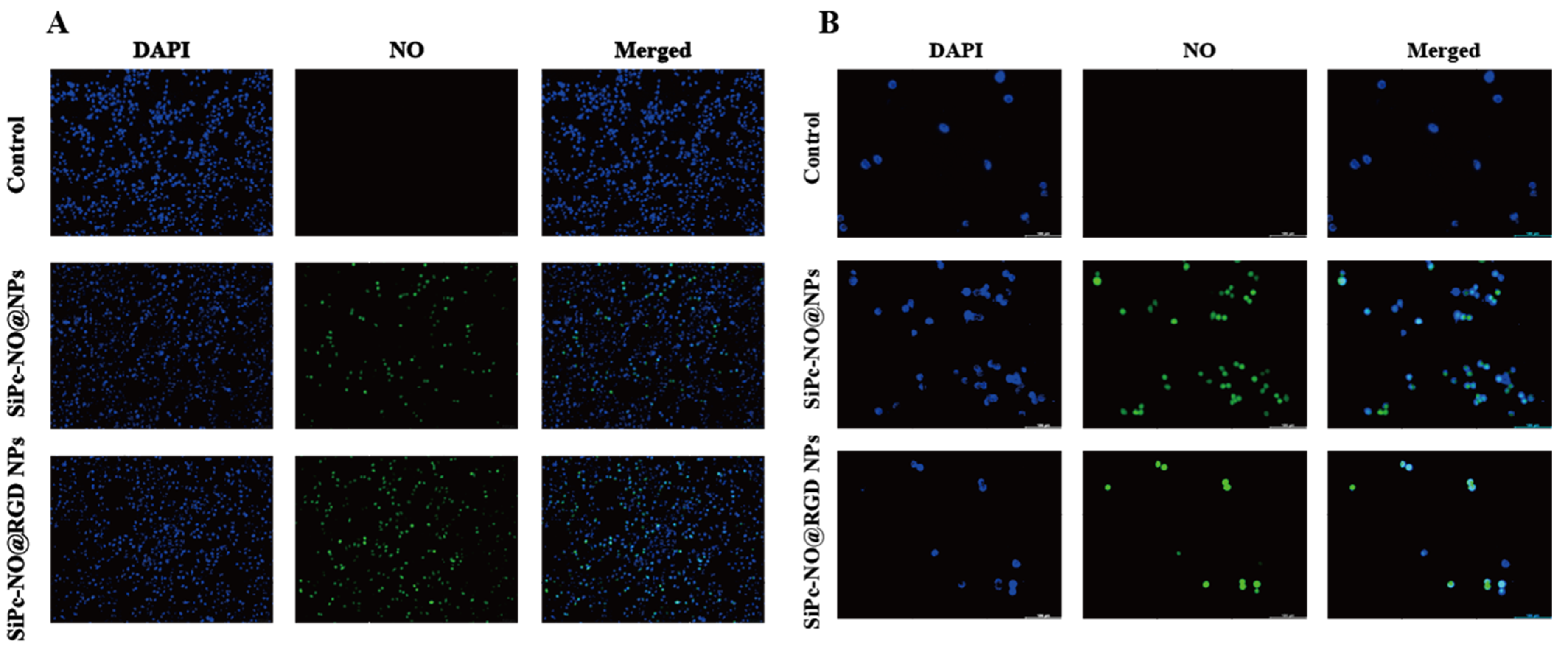 Pharmaceutics 16 01166 g006