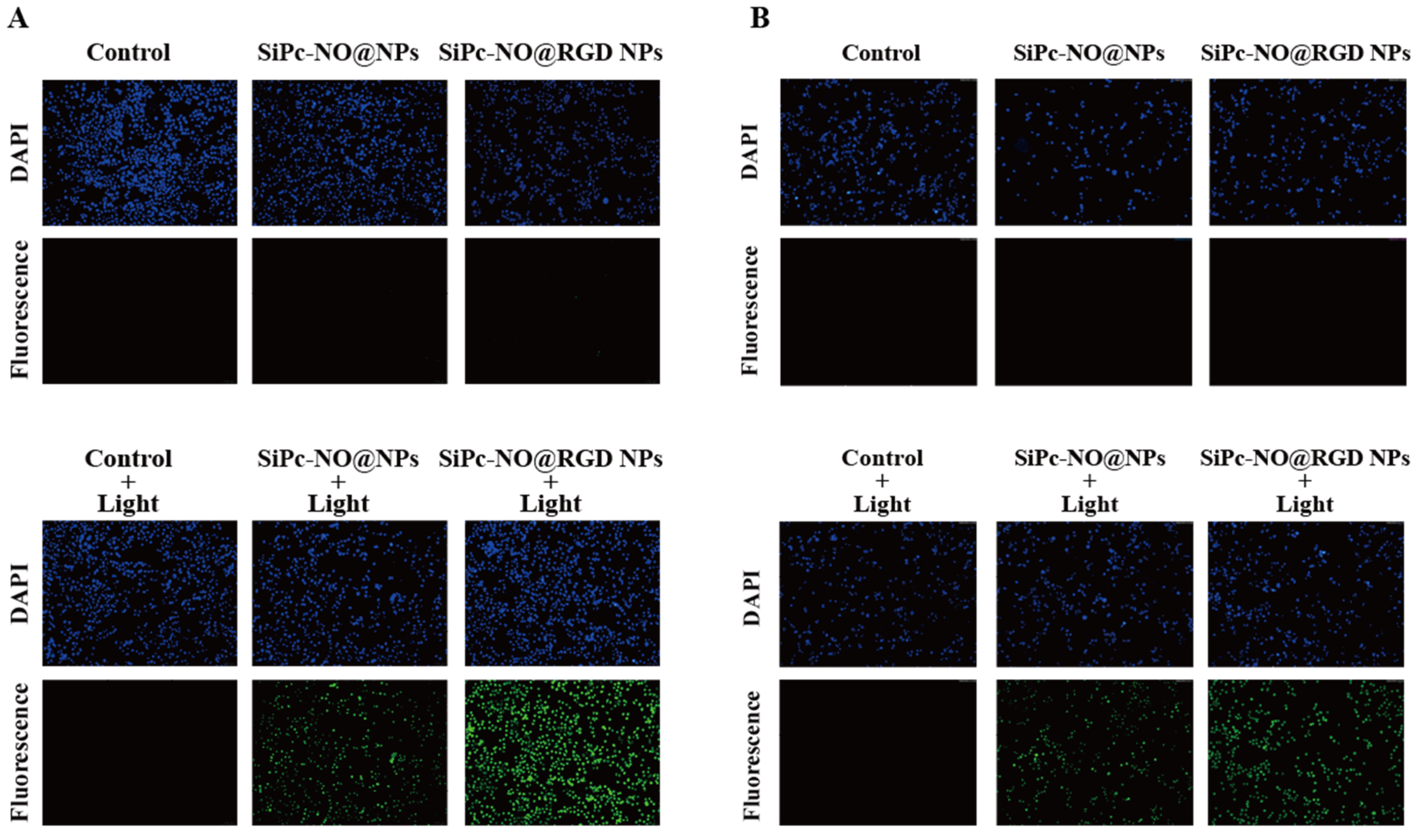 Pharmaceutics 16 01166 g007