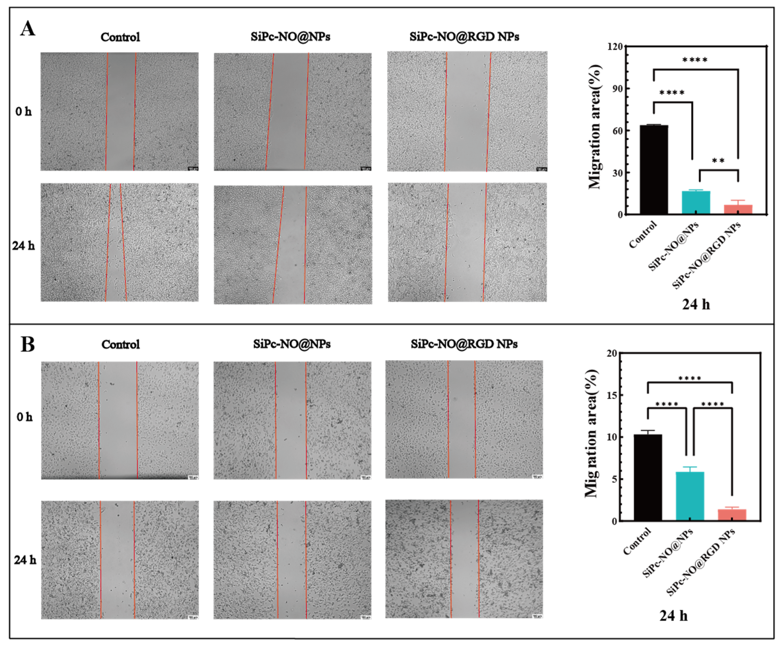 Pharmaceutics 16 01166 g008