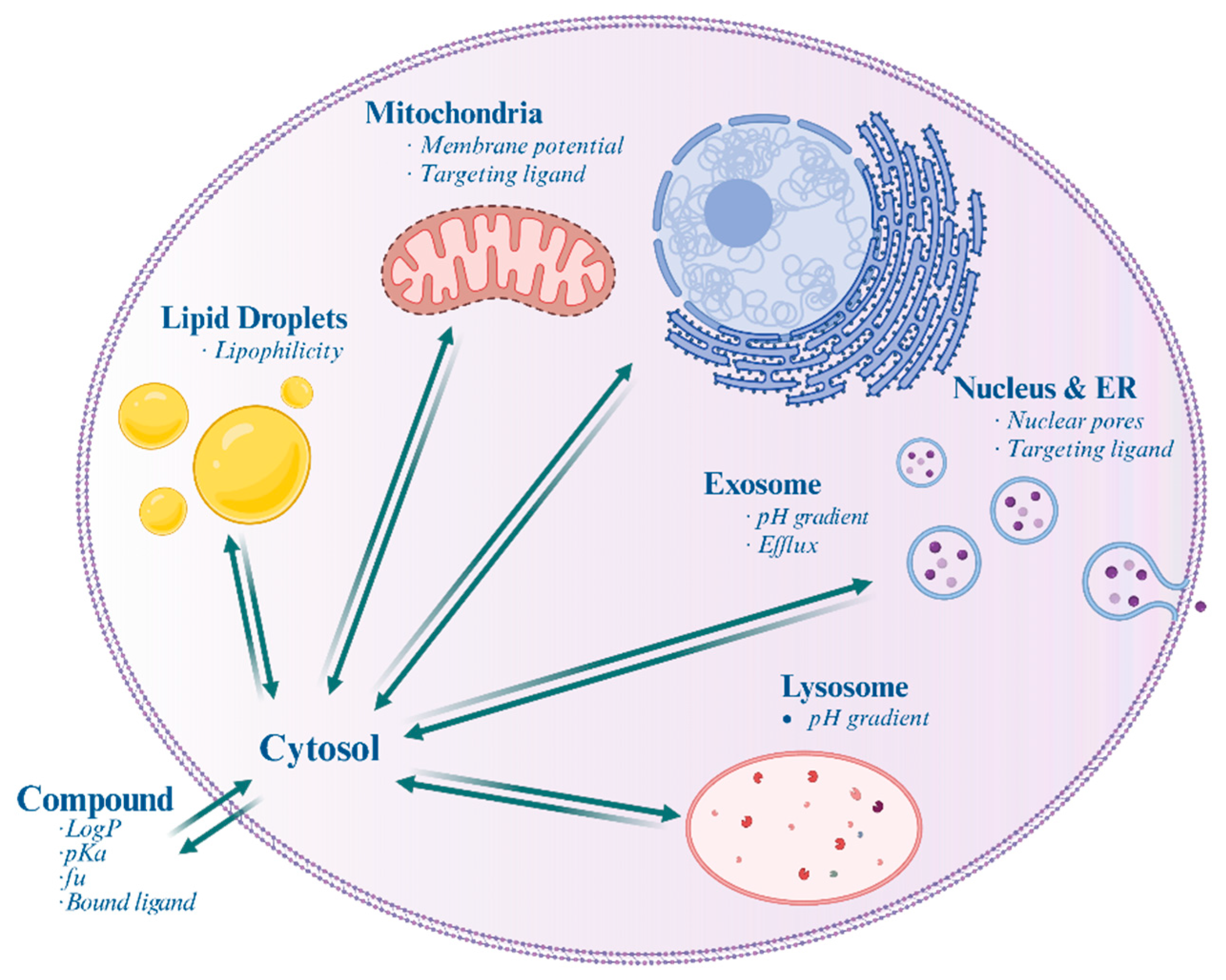Pharmaceutics 16 01167 g001 Pharmaceutics 16 01167 g001
