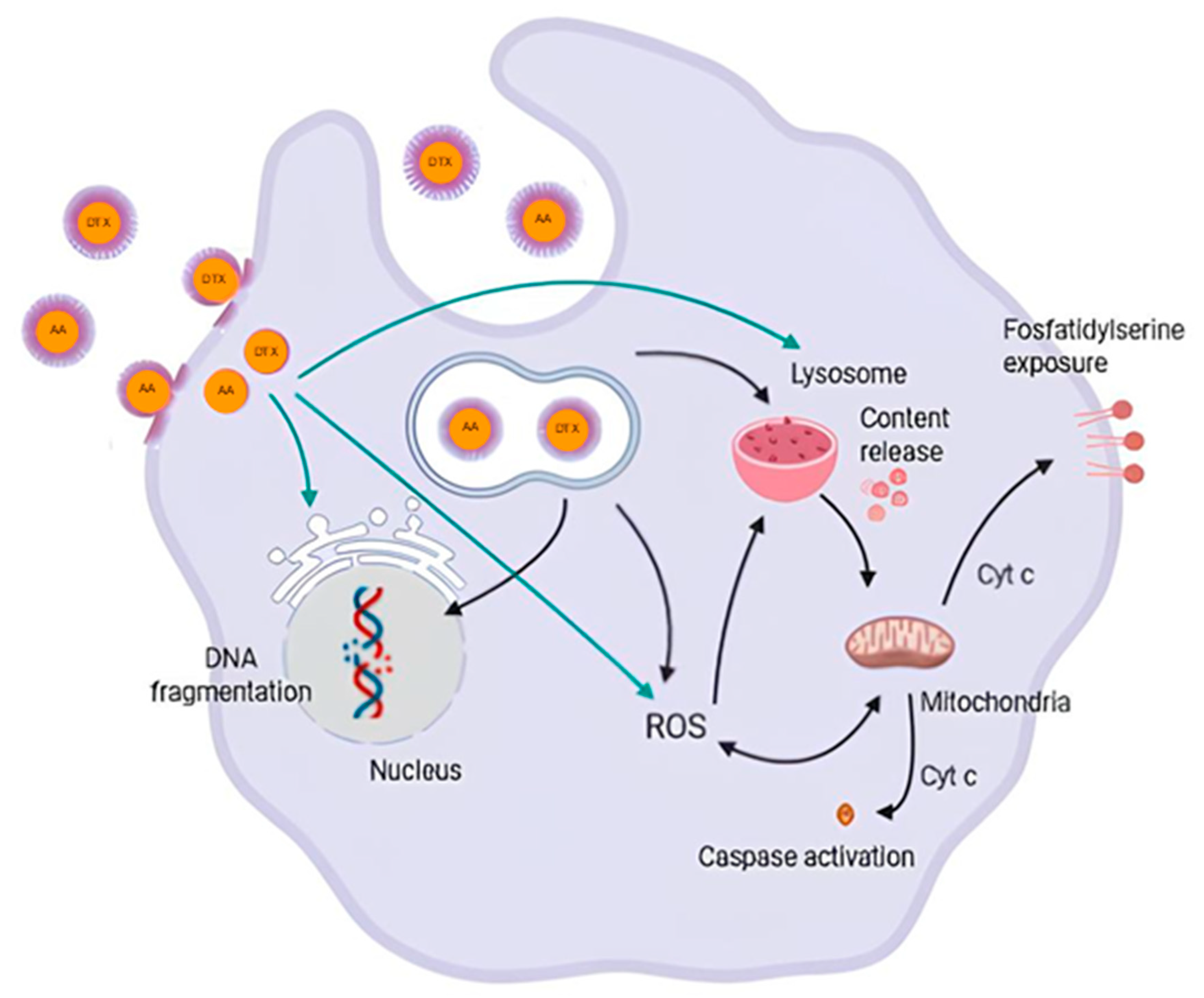 Pharmaceutics 16 01170 g009