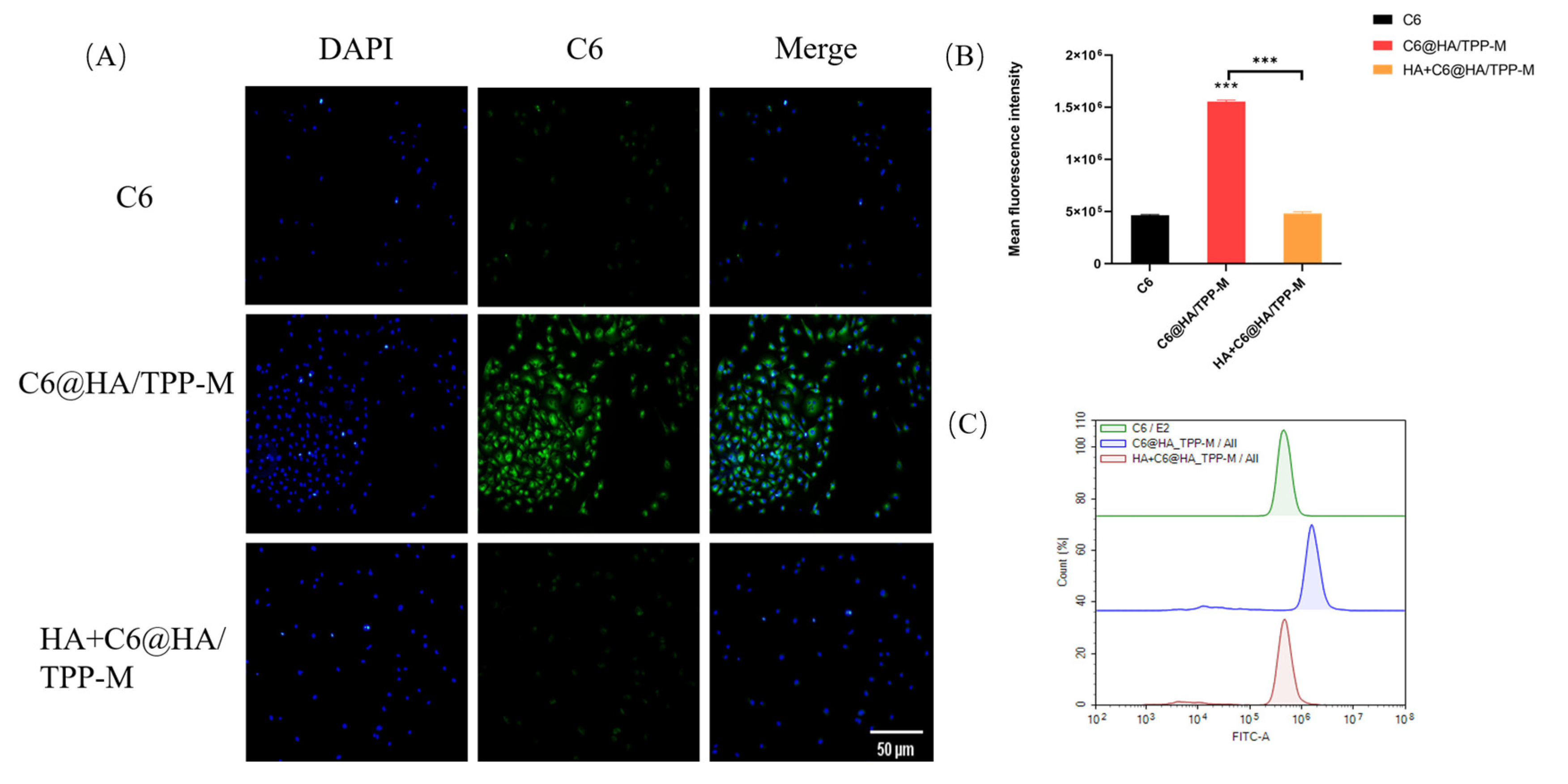 Pharmaceutics 16 01174 g003