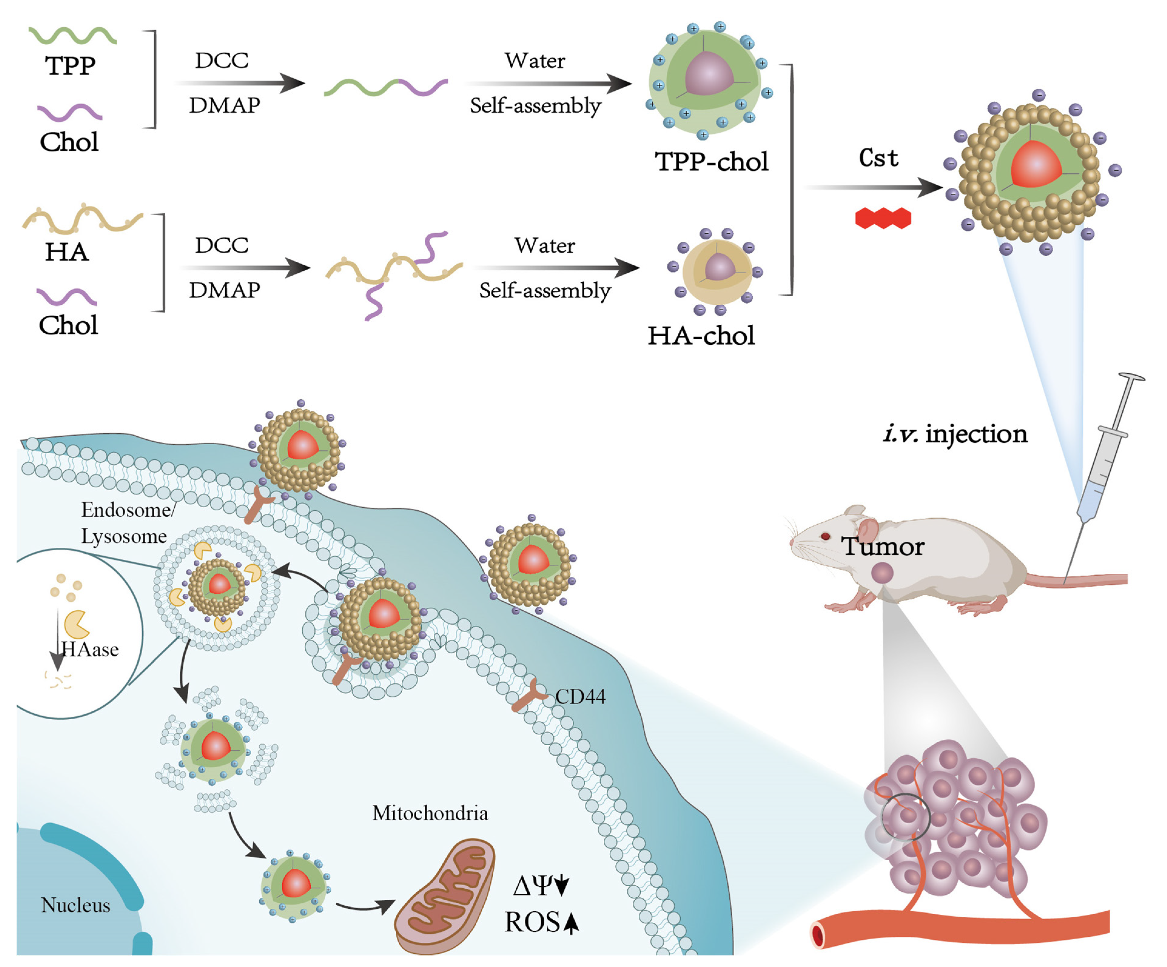 Pharmaceutics 16 01174 sch001