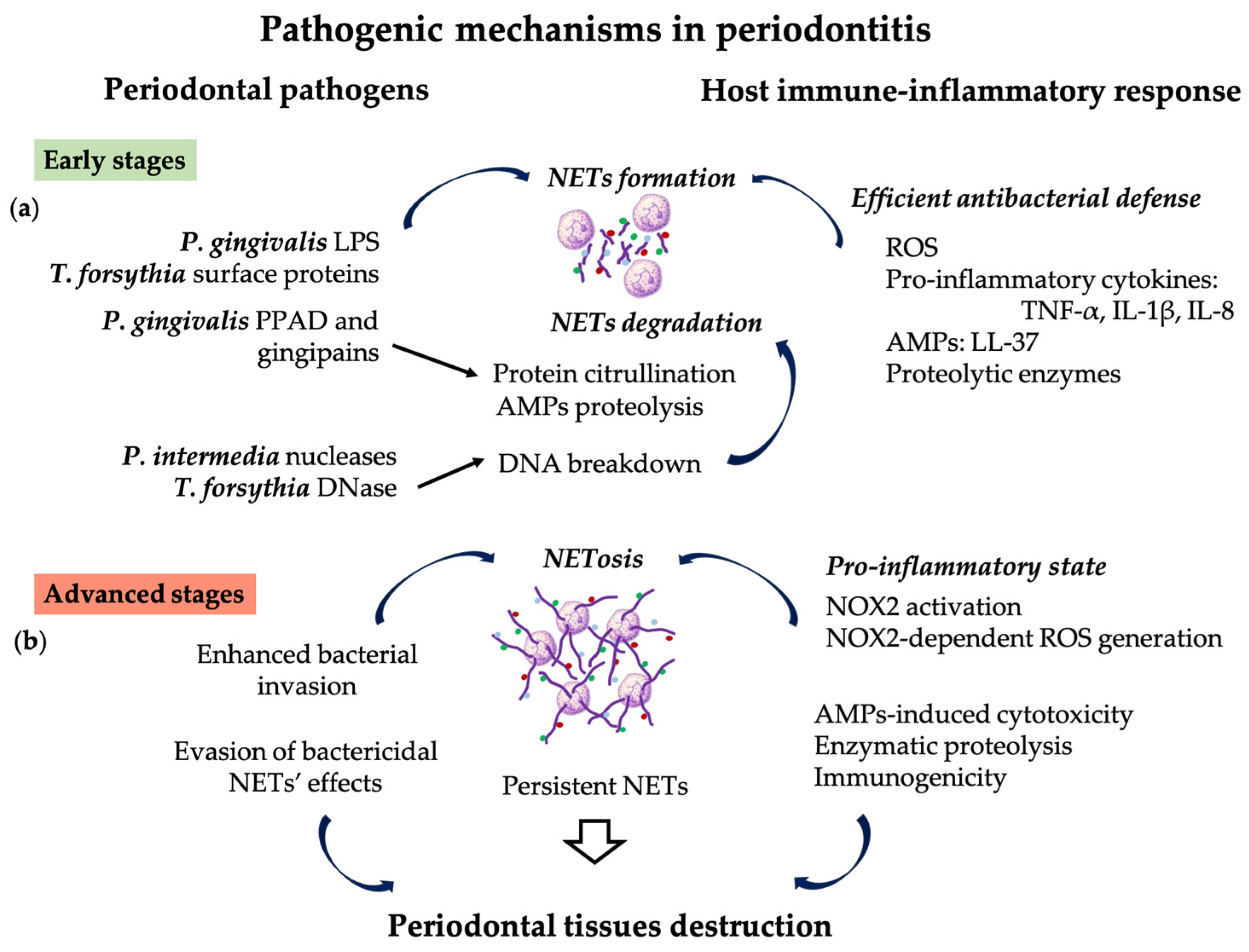 Pharmaceutics 16 01175 g002 Pharmaceutics 16 01175 g002