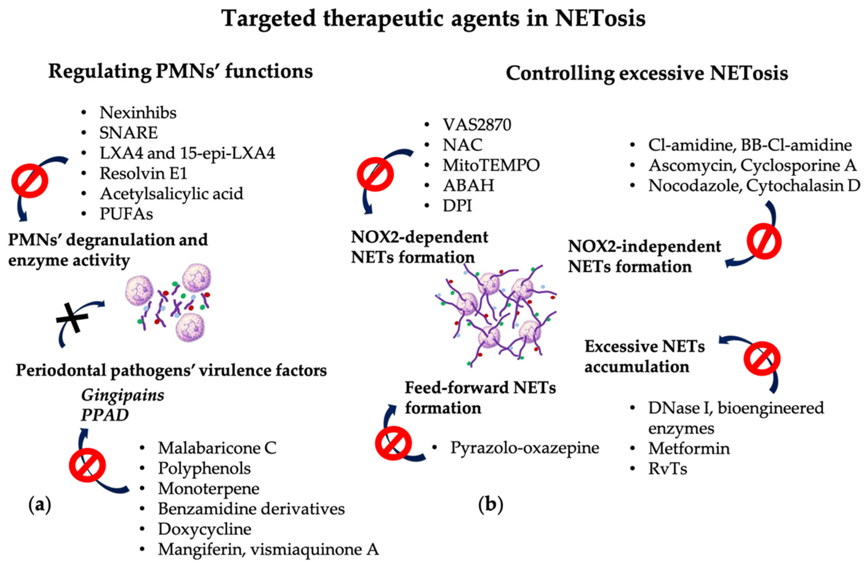 Pharmaceutics 16 01175 g003 Pharmaceutics 16 01175 g003