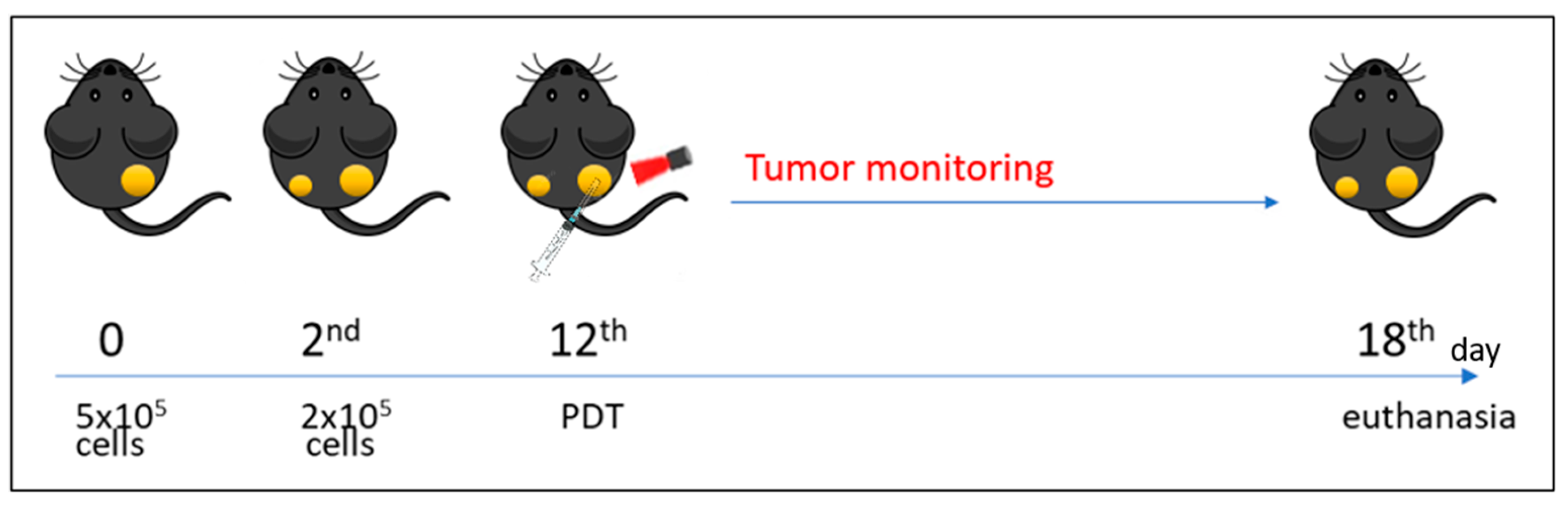 Pharmaceutics 16 01177 g001