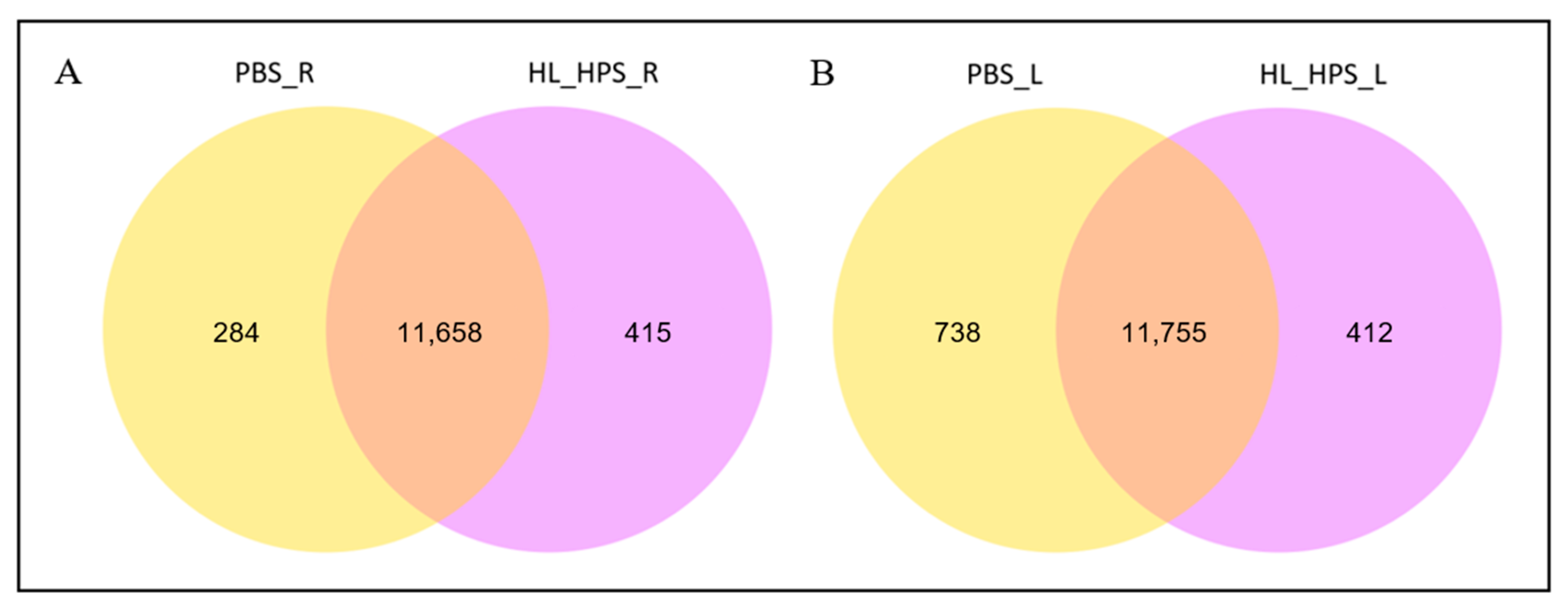Pharmaceutics 16 01177 g008