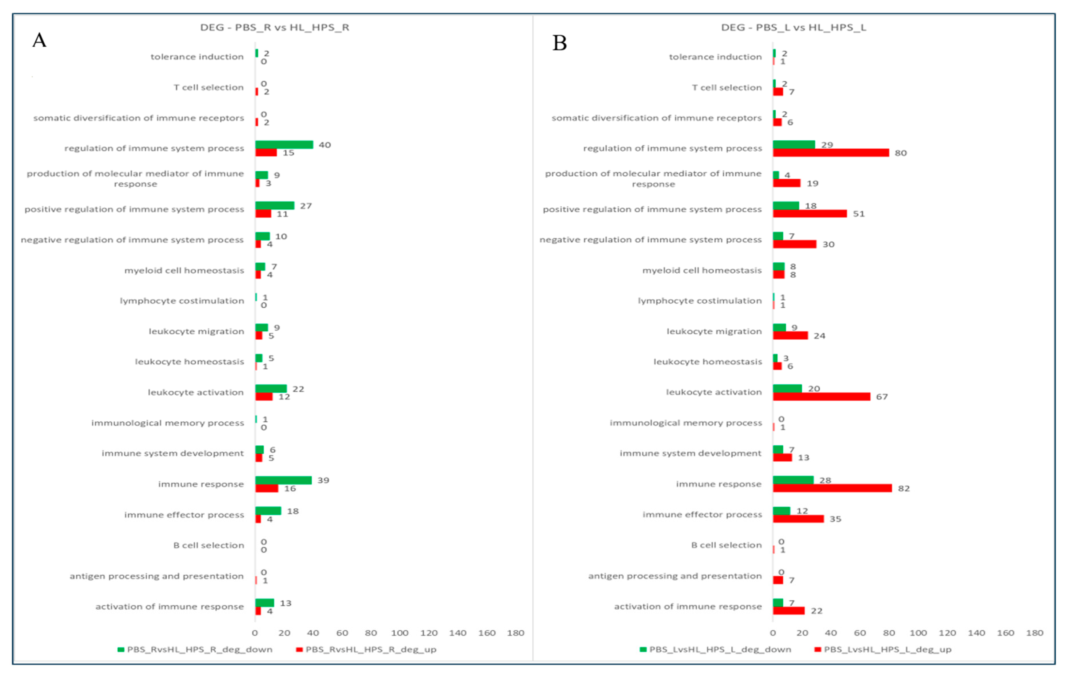 Pharmaceutics 16 01177 g011
