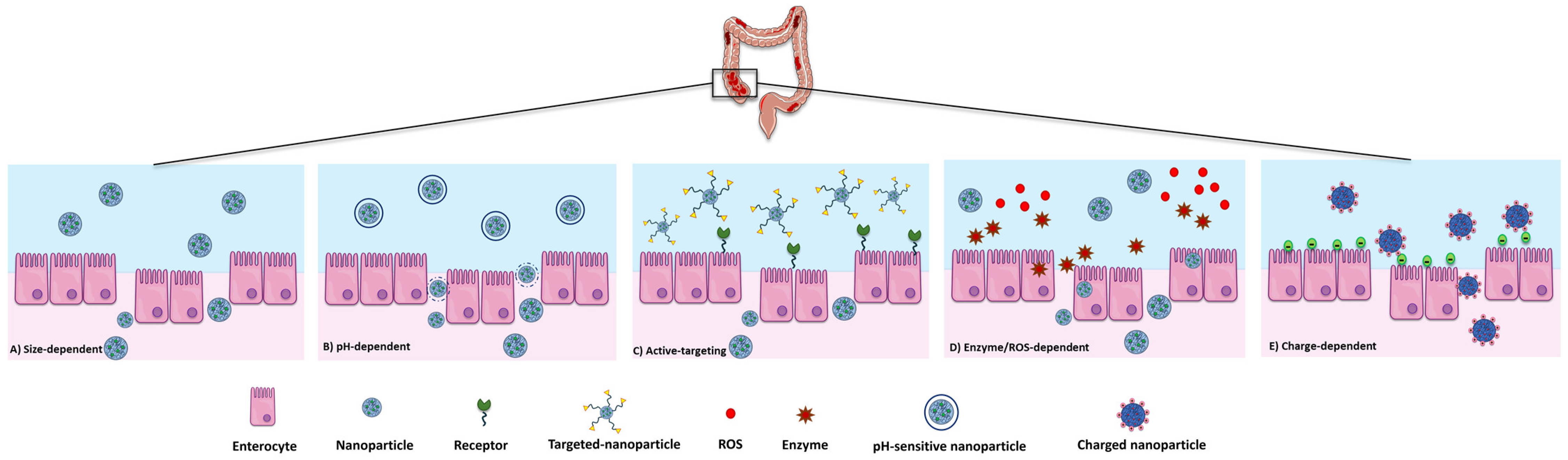 Pharmaceutics 16 01185 g002 Pharmaceutics 16 01185 g002