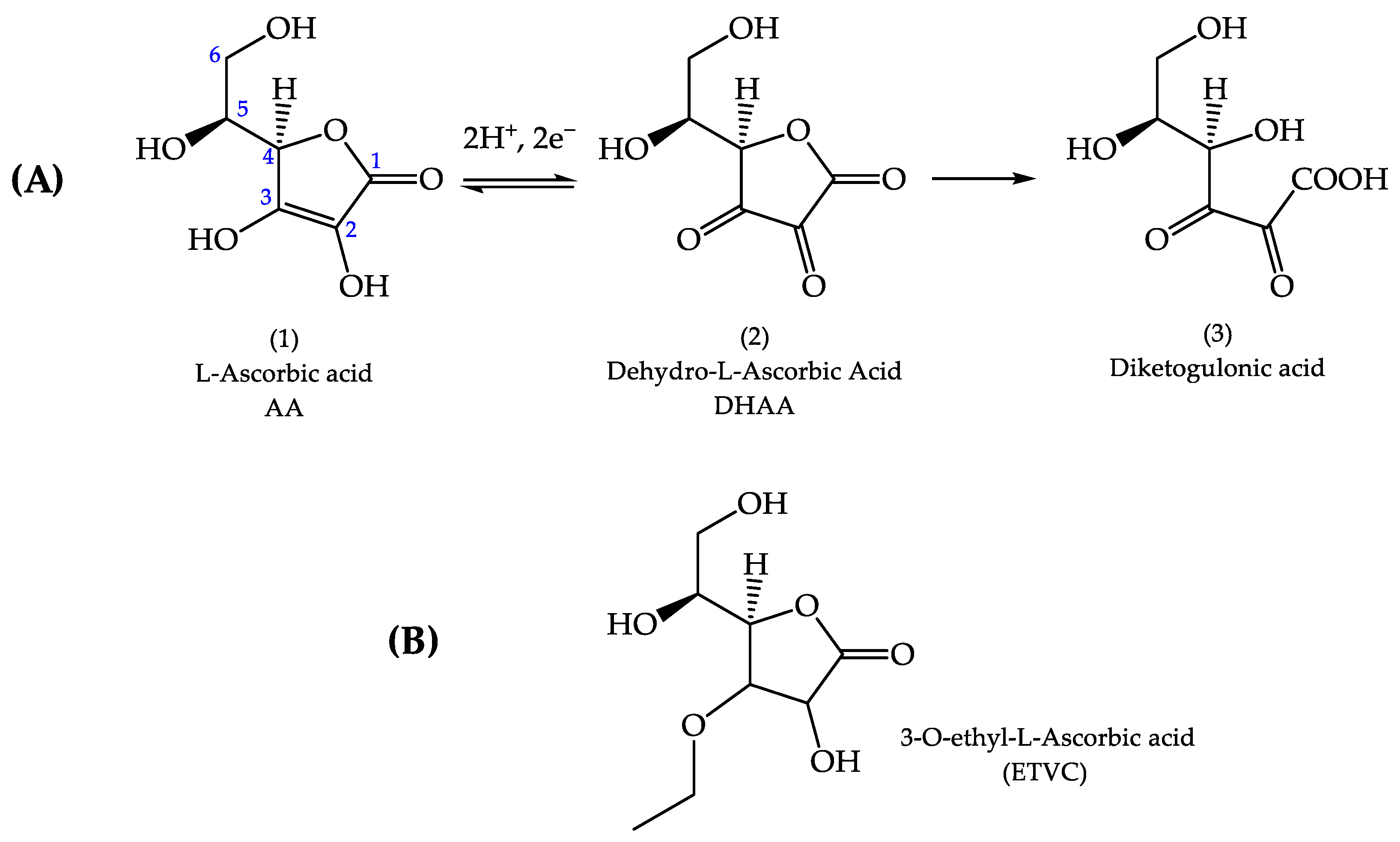 Pharmaceutics 16 01187 g001 Pharmaceutics 16 01187 g001