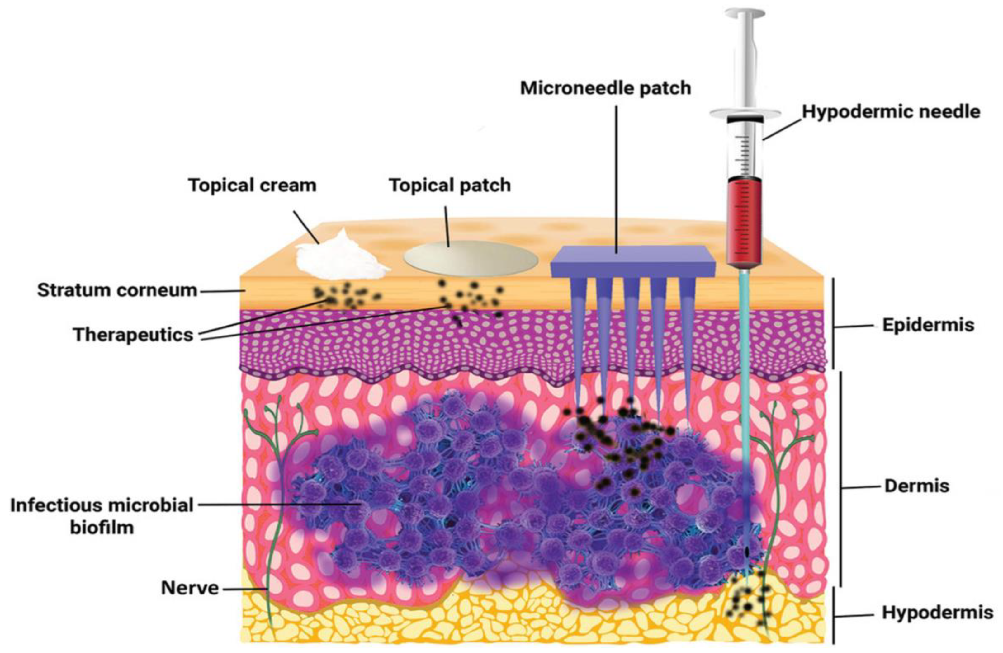 Pharmaceutics 16 01188 g001 Pharmaceutics 16 01188 g001