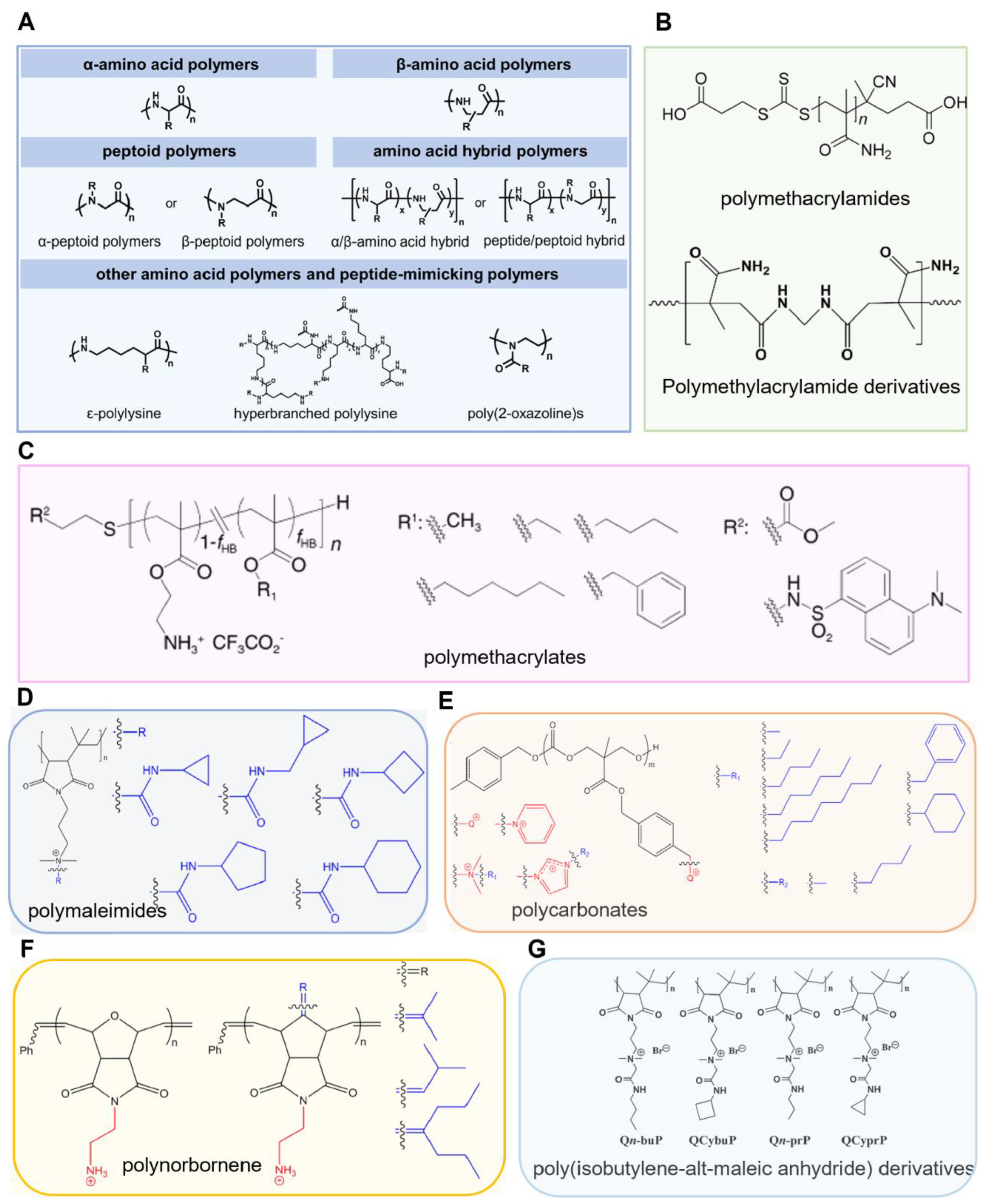 Pharmaceutics 16 01188 g005 Pharmaceutics 16 01188 g005