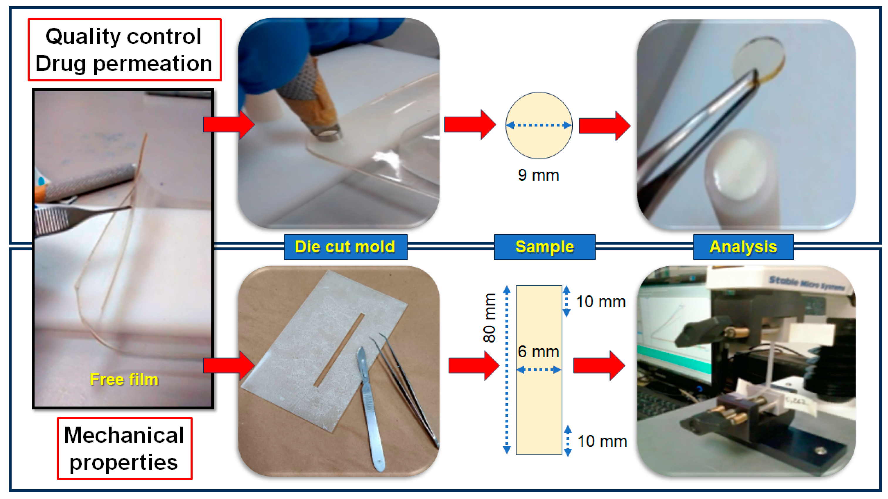 Pharmaceutics 16 01198 g001