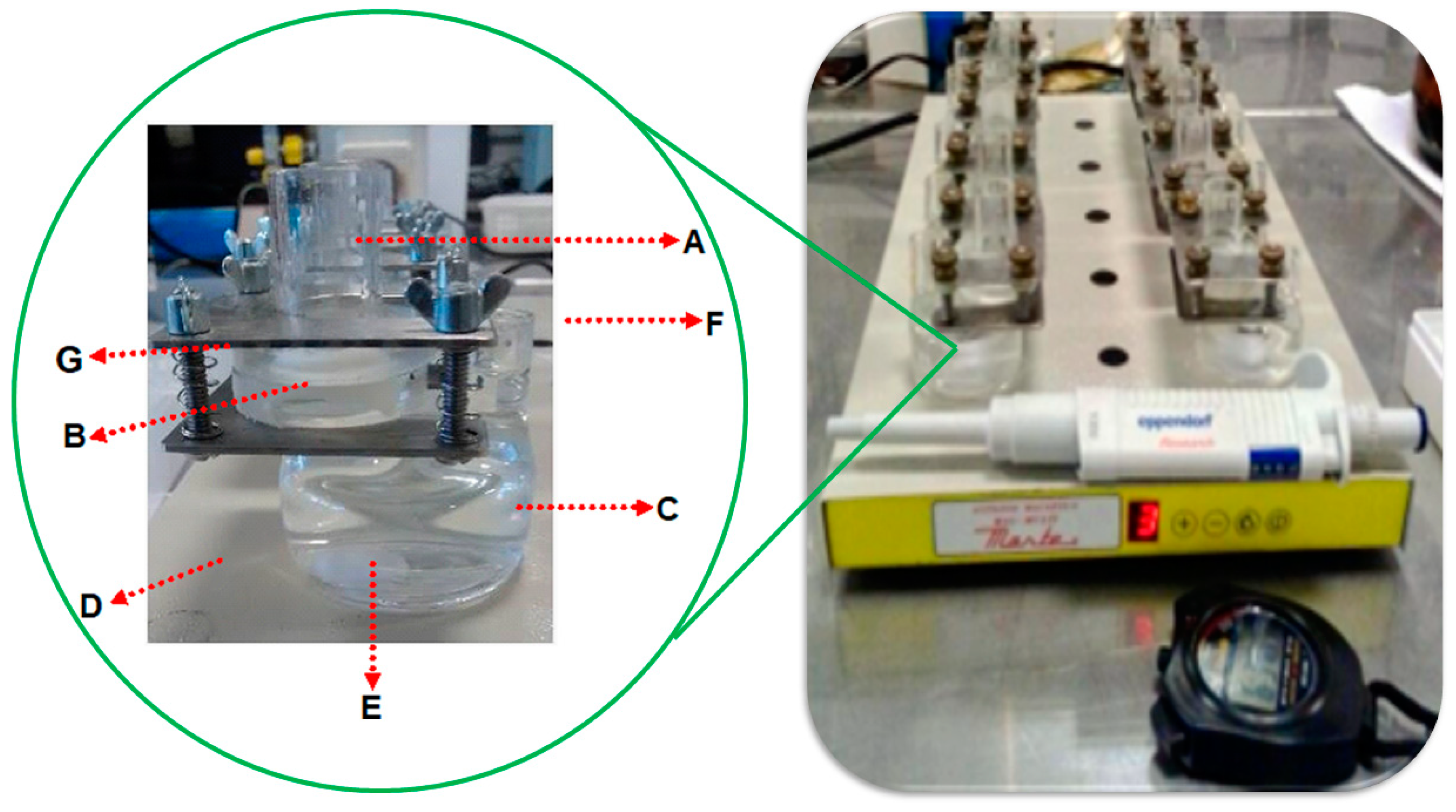 Pharmaceutics 16 01198 g002