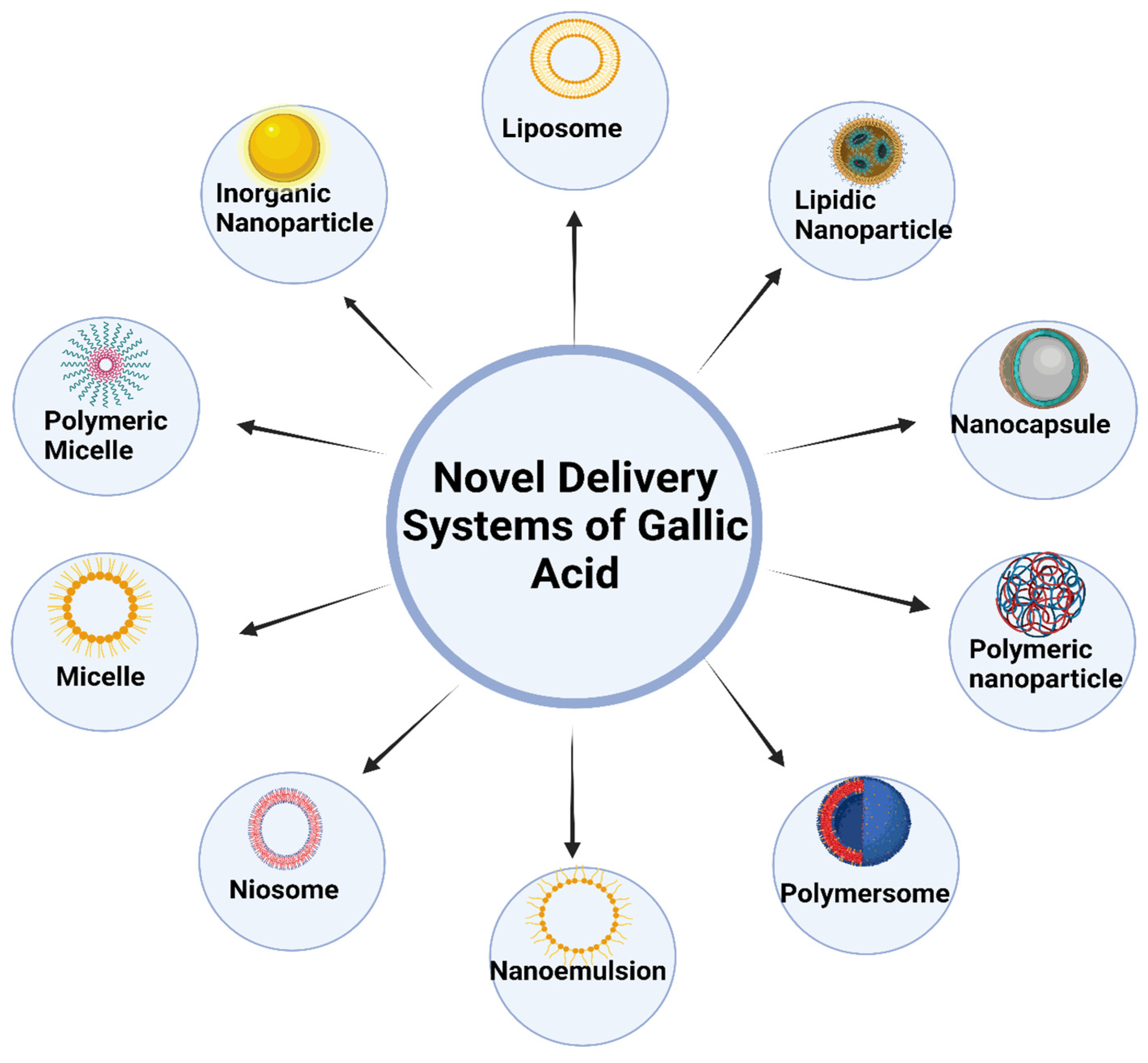 Pharmaceutics 16 01202 g003