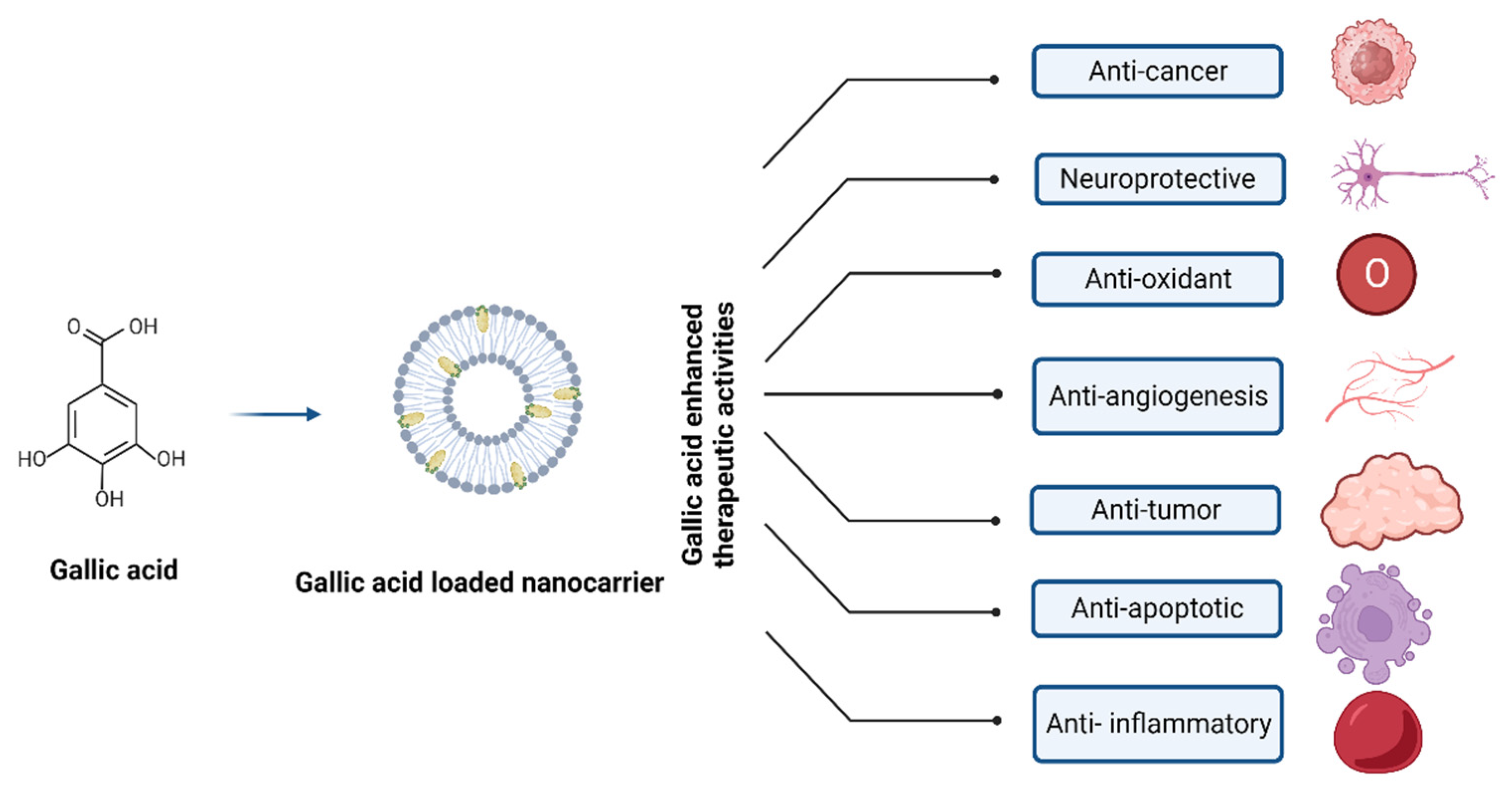 Pharmaceutics 16 01202 g004