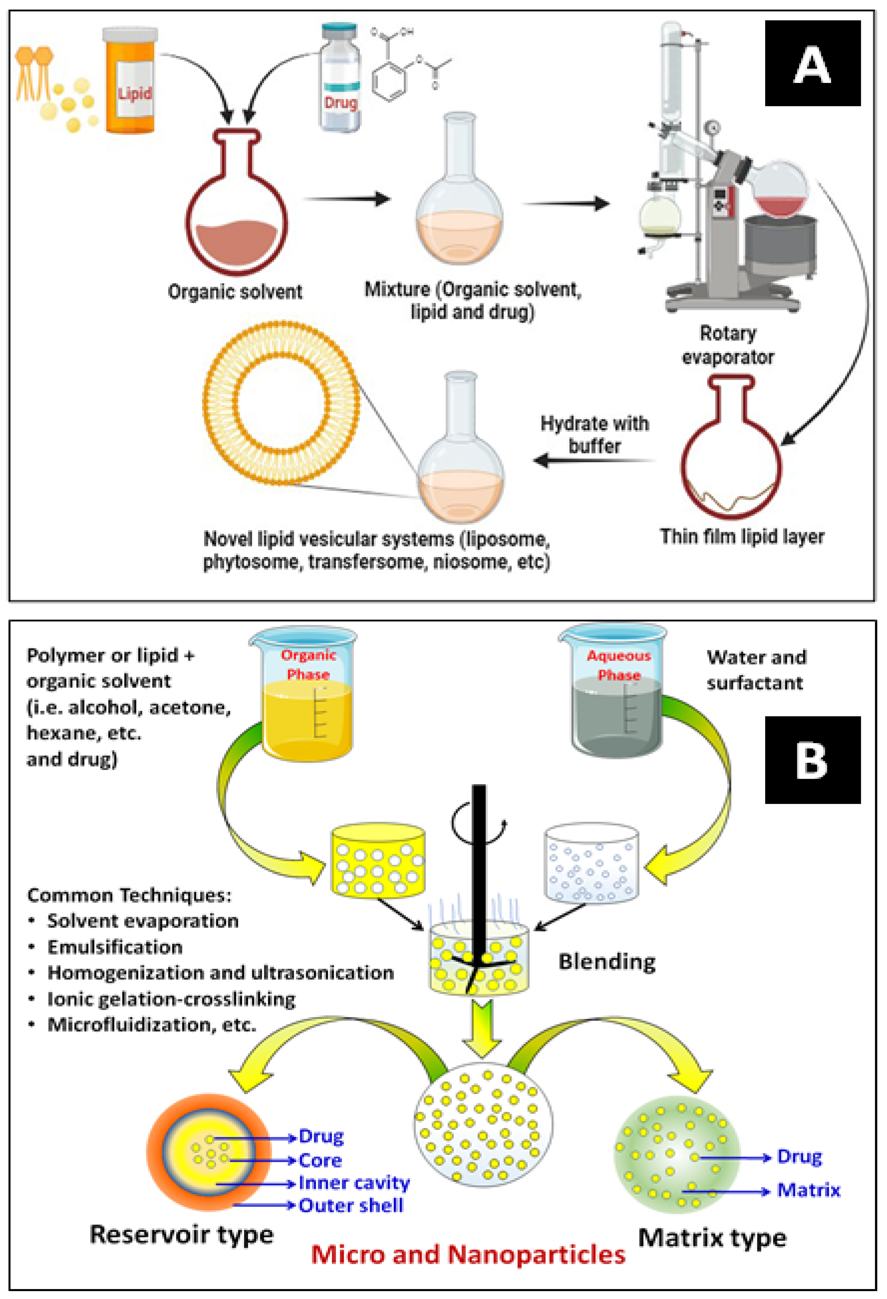 Pharmaceutics 16 01202 g005