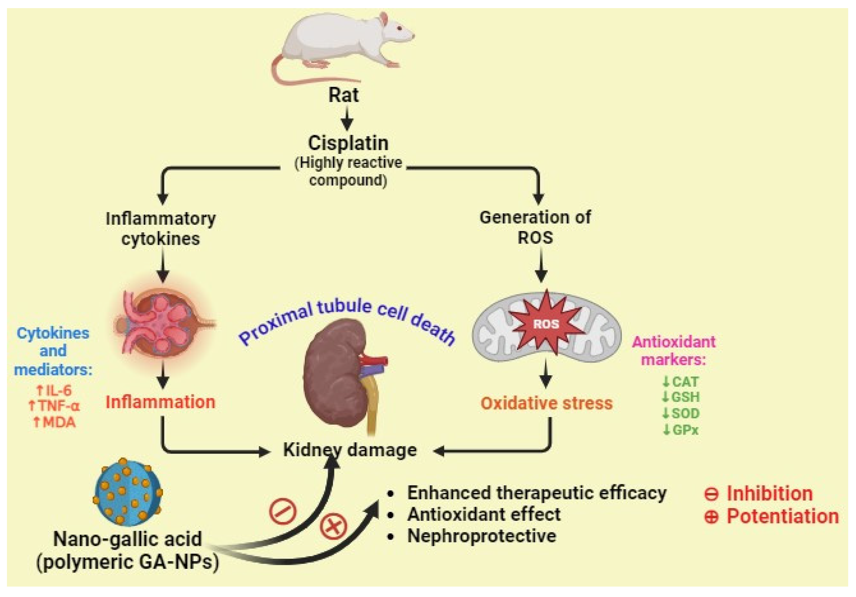 Pharmaceutics 16 01202 g008