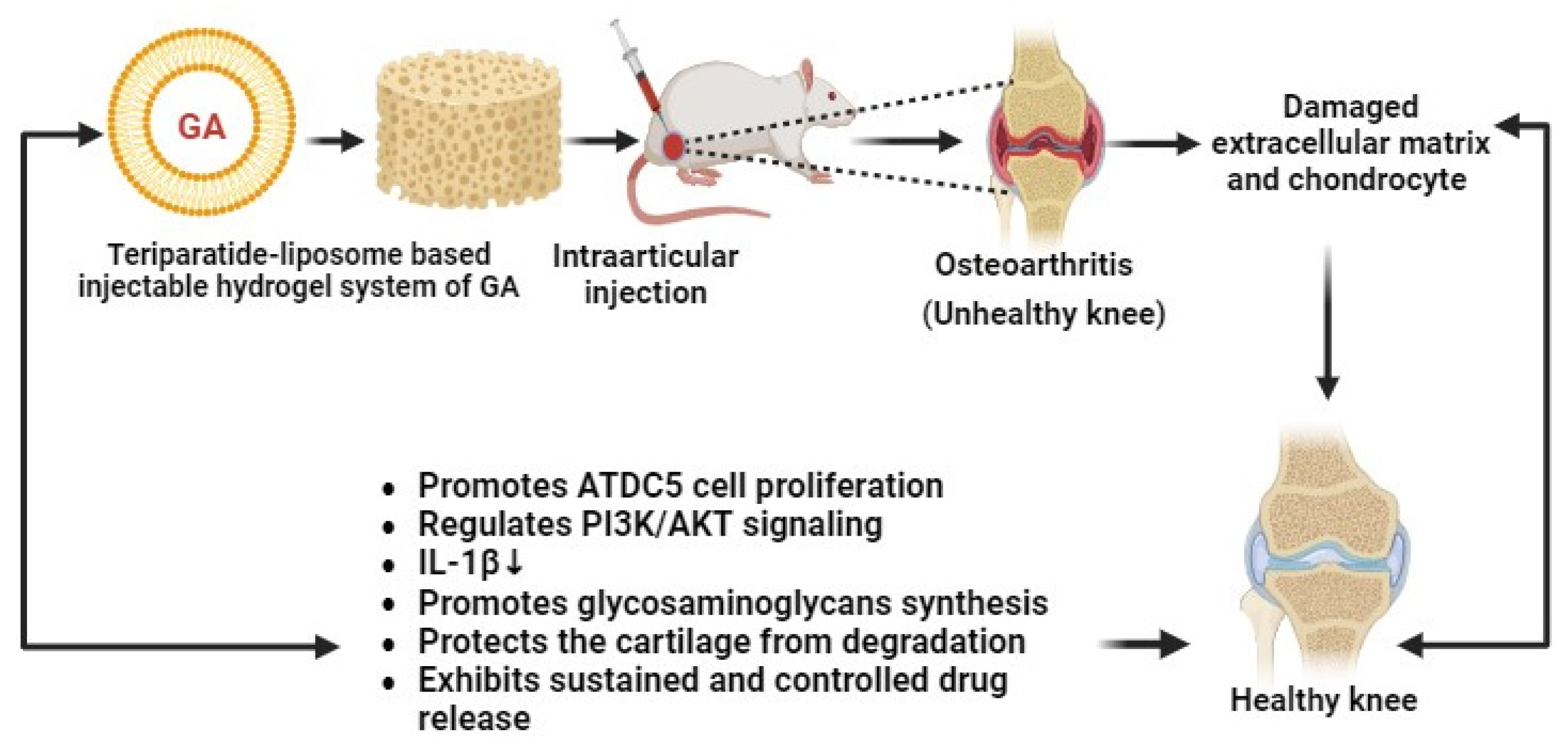 Pharmaceutics 16 01202 g009