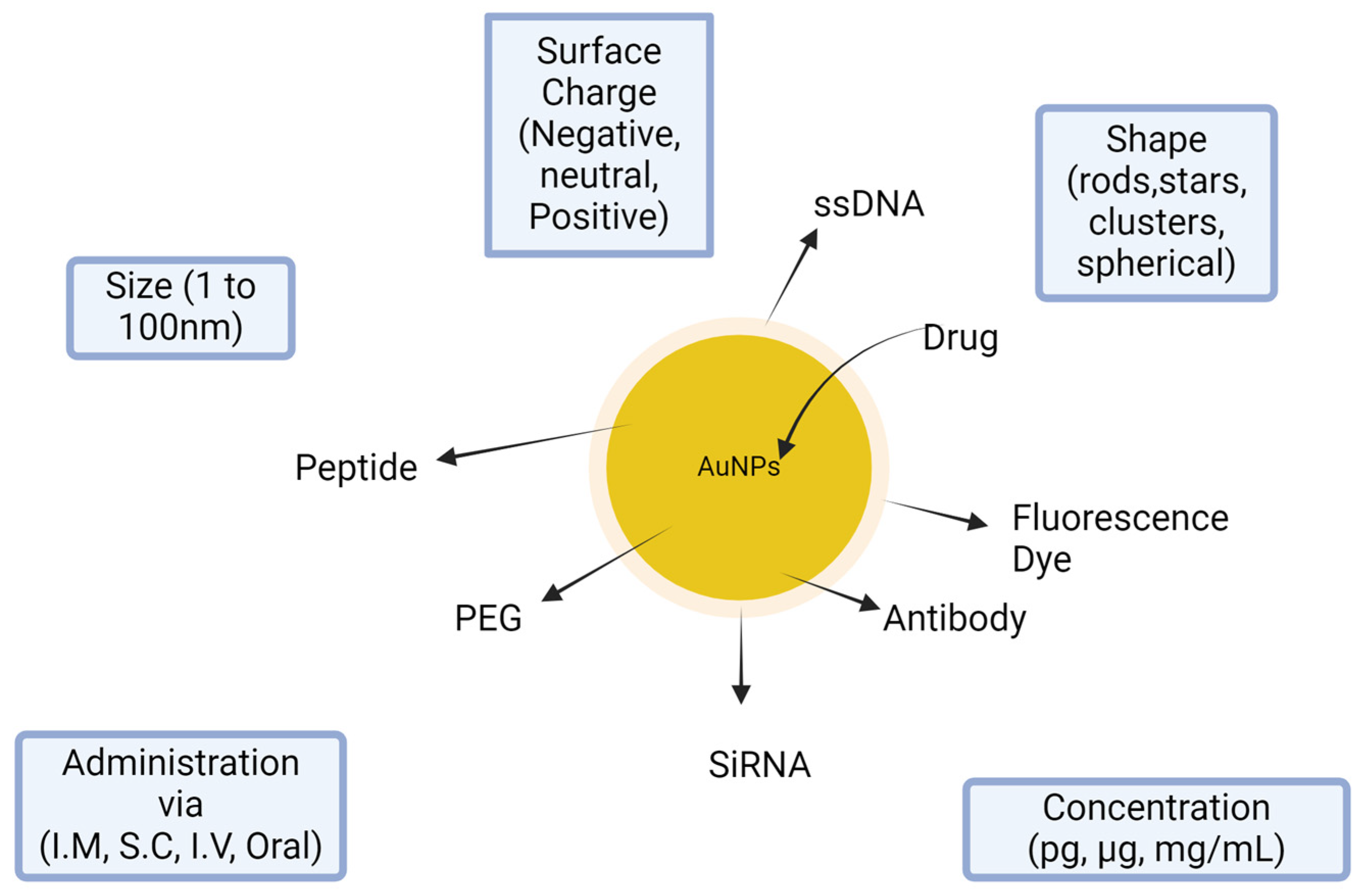 Pharmaceutics 16 01202 g011