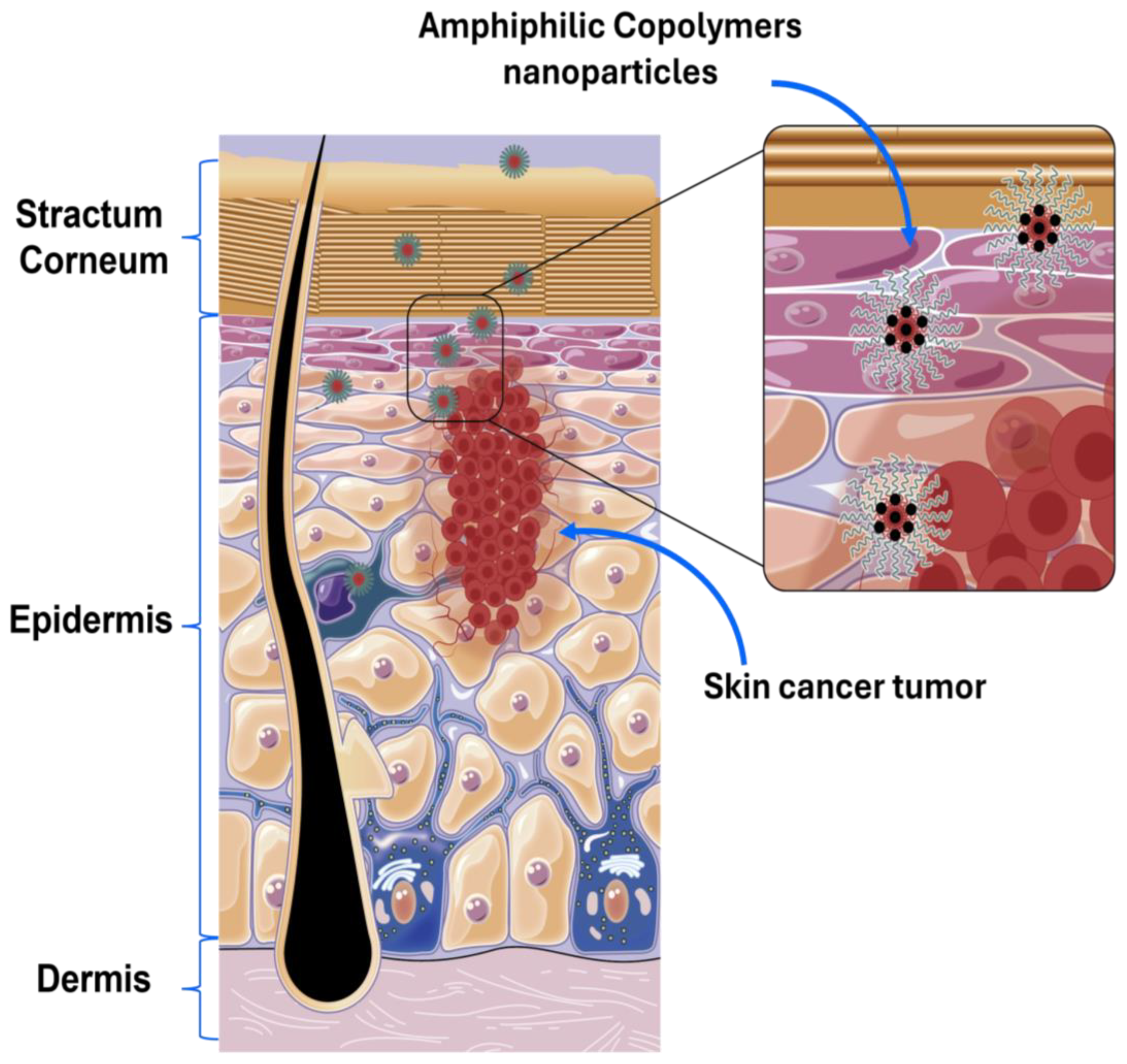 Pharmaceutics 16 01203 g001
