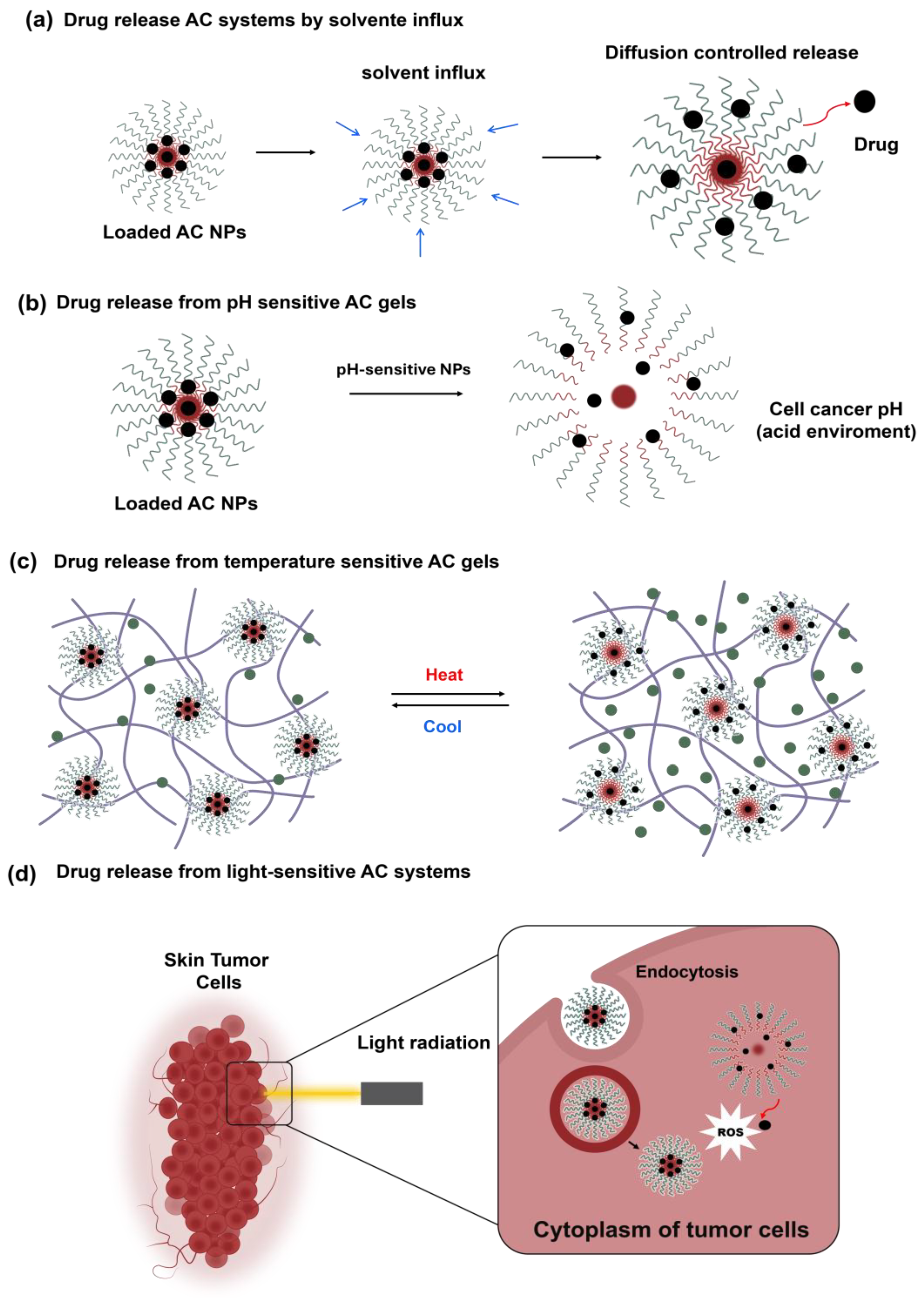 Pharmaceutics 16 01203 g003