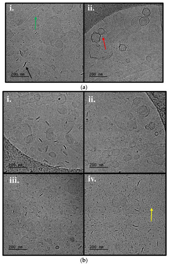Pharmaceutics 16 01204 g005