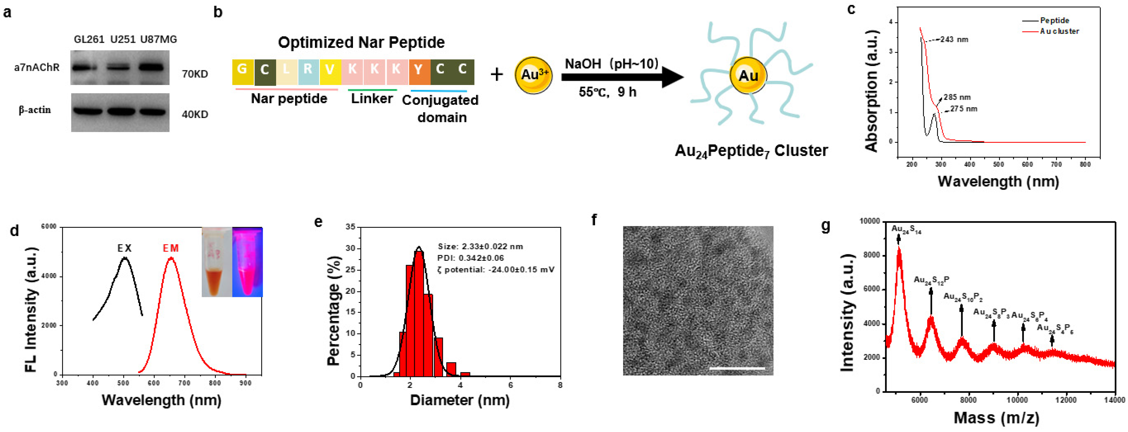 Pharmaceutics 16 01205 g001