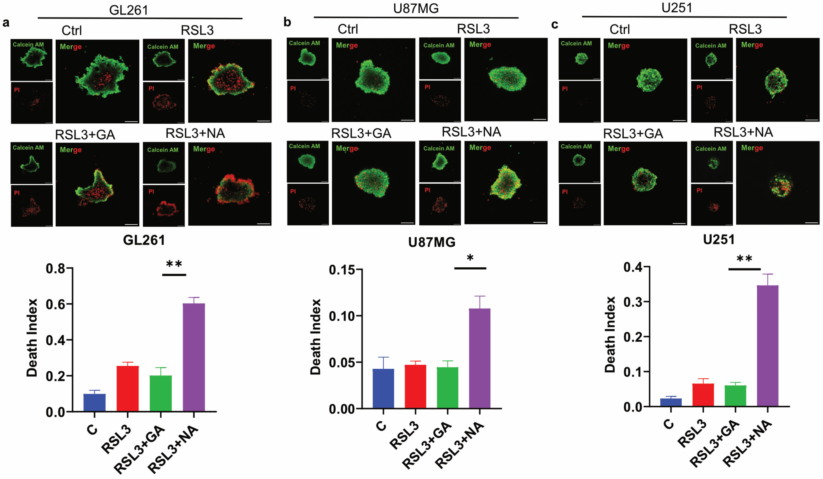 Pharmaceutics 16 01205 g005