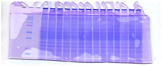 Pharmaceutics 16 01211 g0a3