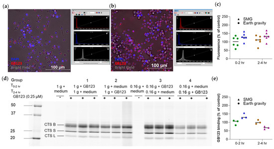 Pharmaceutics 16 01211 g0a5